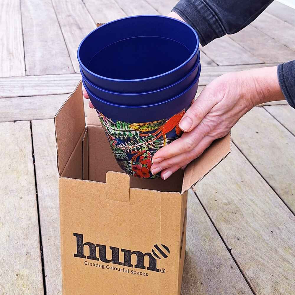 blue plant pots being taken out of a box