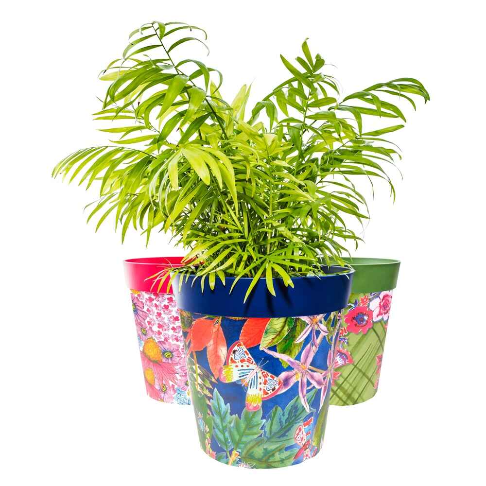 photo of 3 patterned flowerpots in pink green and blue, planted with a fern