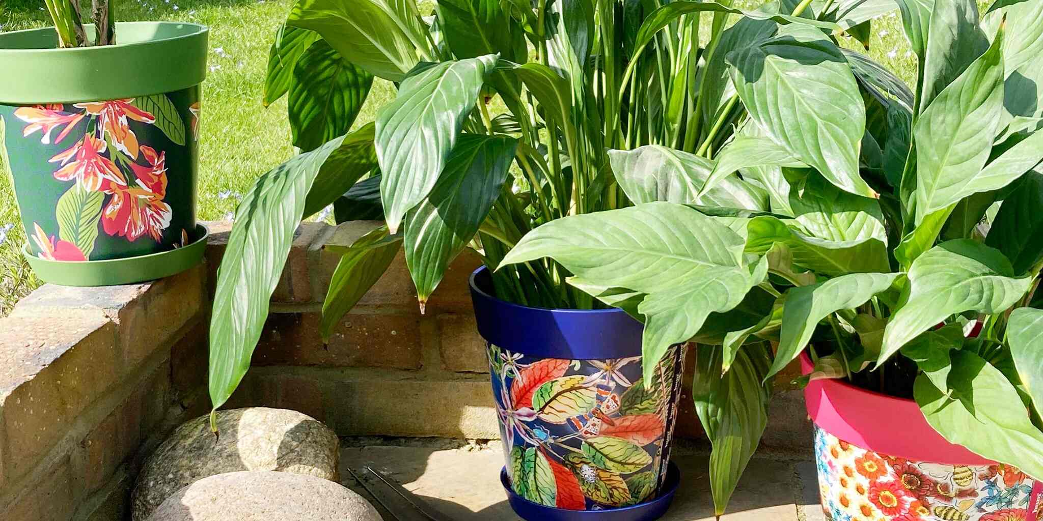 Image of Hum Flowerpots in an outdoor garden setting with plants