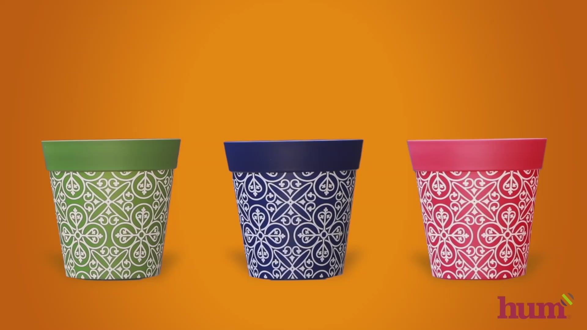 Fun video showing all our colourful Hum flowerpots
