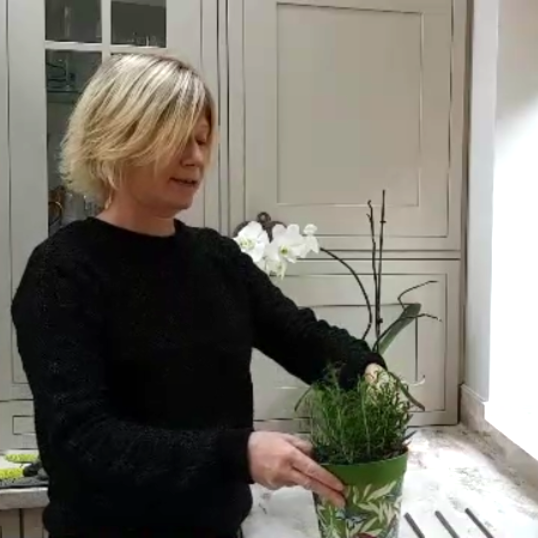 planting kitchen herbs in a small green patterned plant pot