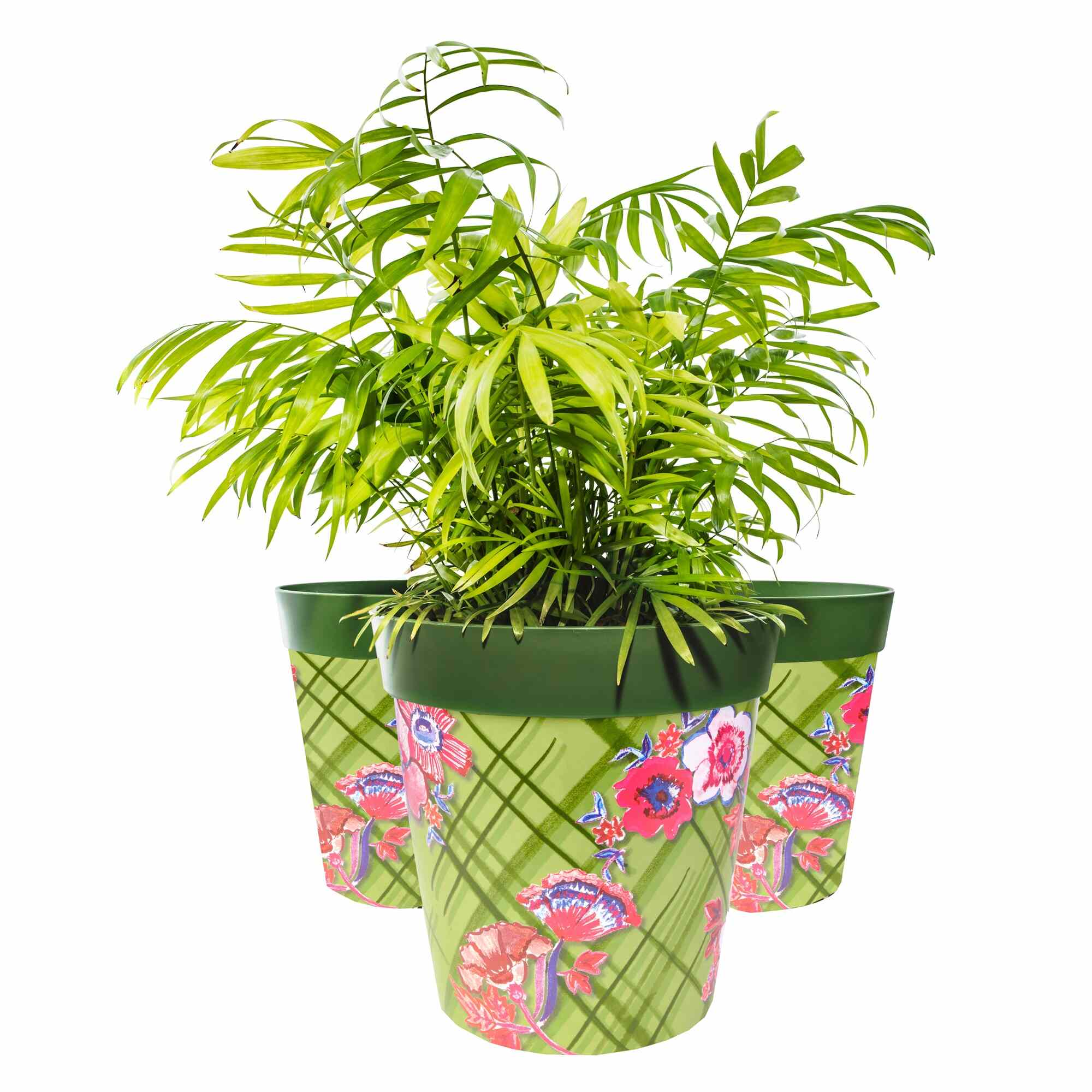 Picture of 3 Planted Large 25cm Green Trellis Pattern Plastic Indoor/Outdoor Flowerpots