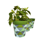 Picture of 3 Planted Medium 22cm Plastic Green Geometric Pattern Indoor/Outdoor Flowerpots