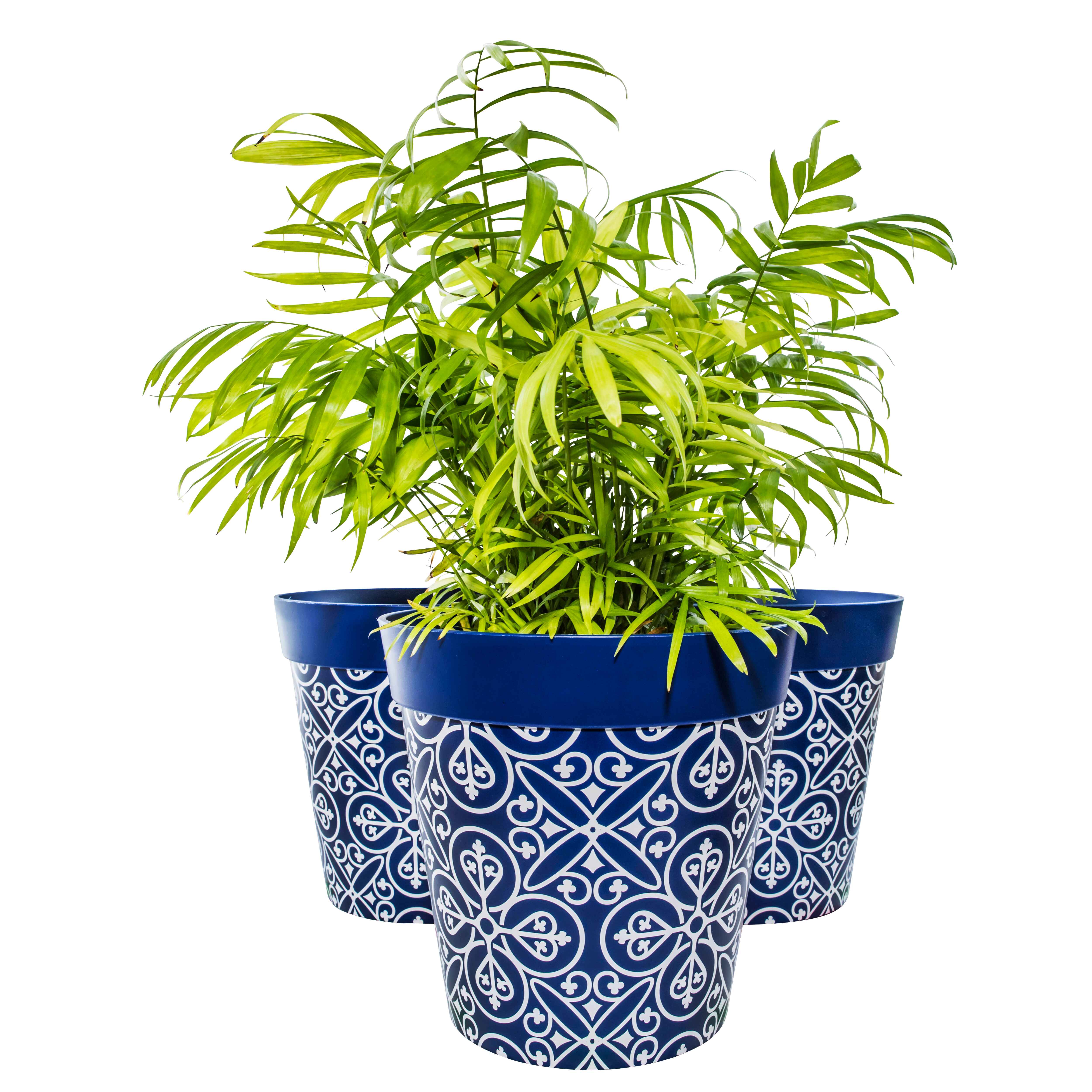 Picture of 3 Planted Large 25cm Blue Moroccan Style Plastic Indoor/Outdoor Flowerpots