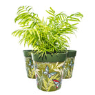 Picture of 3 Planted Large 25cm Green Butterfly and Palm Leaves Plastic Indoor/Outdoor Flowerpots