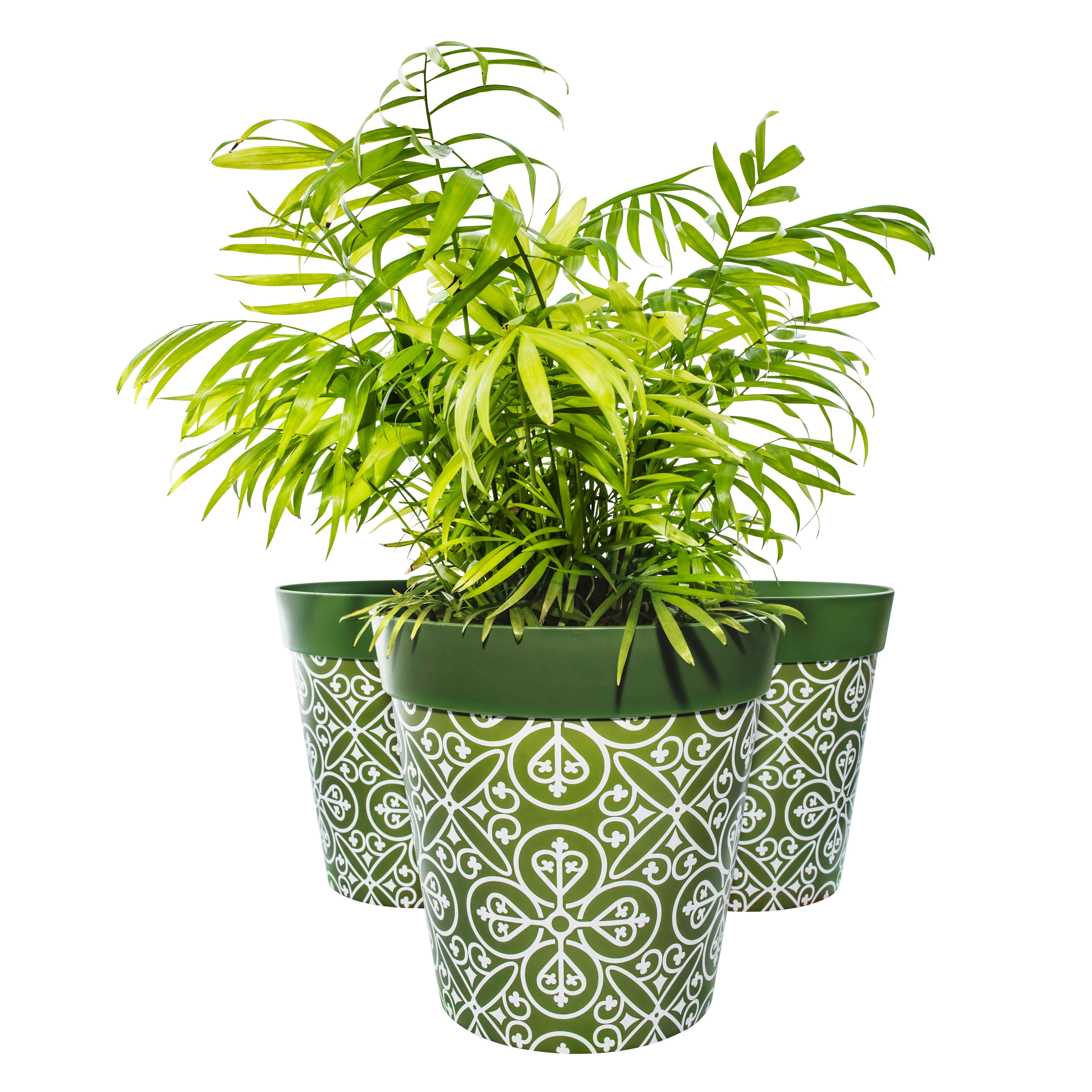 Picture of 3 Planted Large 25cm Green Moroccan Style Plastic Indoor/Outdoor Flowerpots