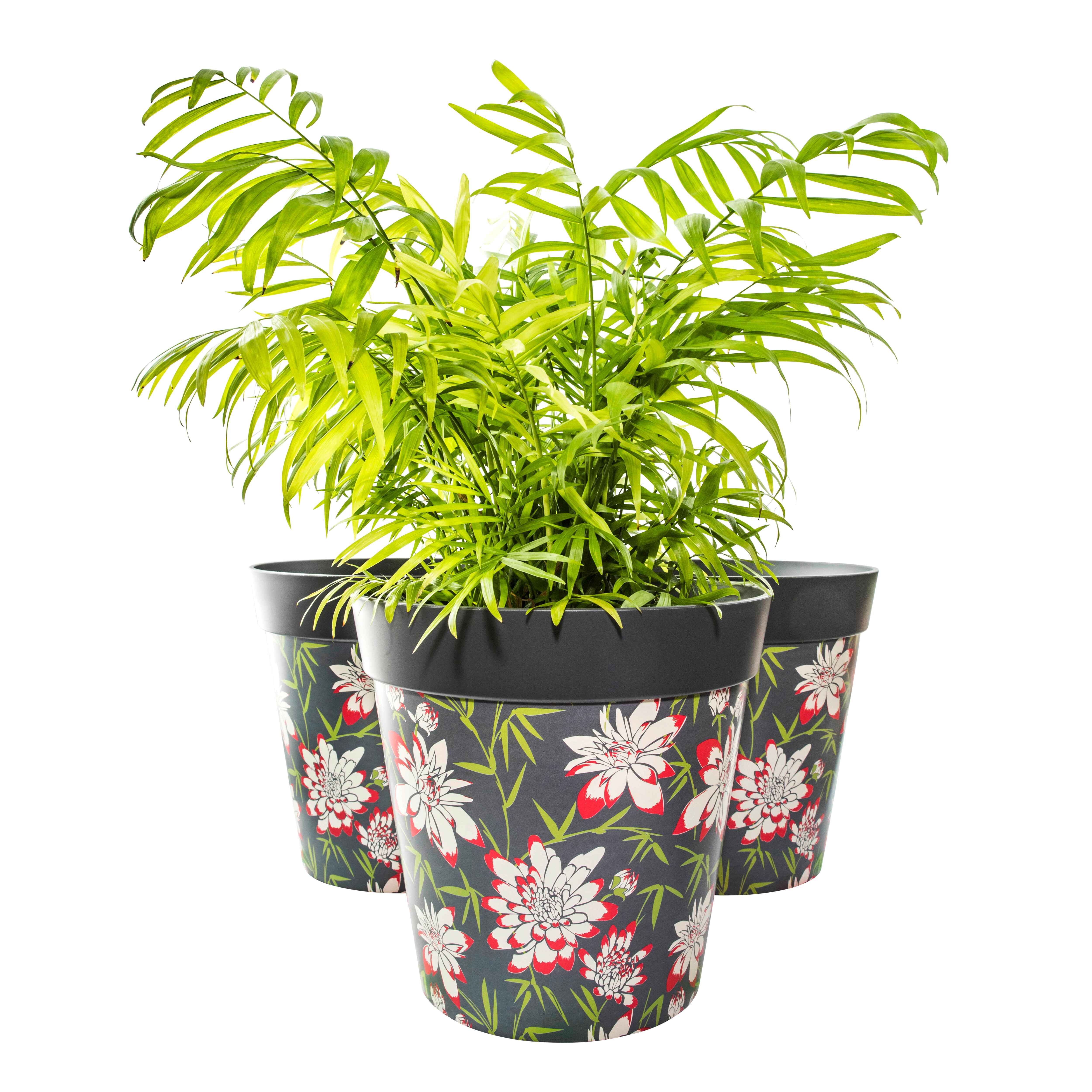 Picture of 3 Planted Large 25cm Plastic Grey Floral Pattern Indoor/Outdoor Flowerpots