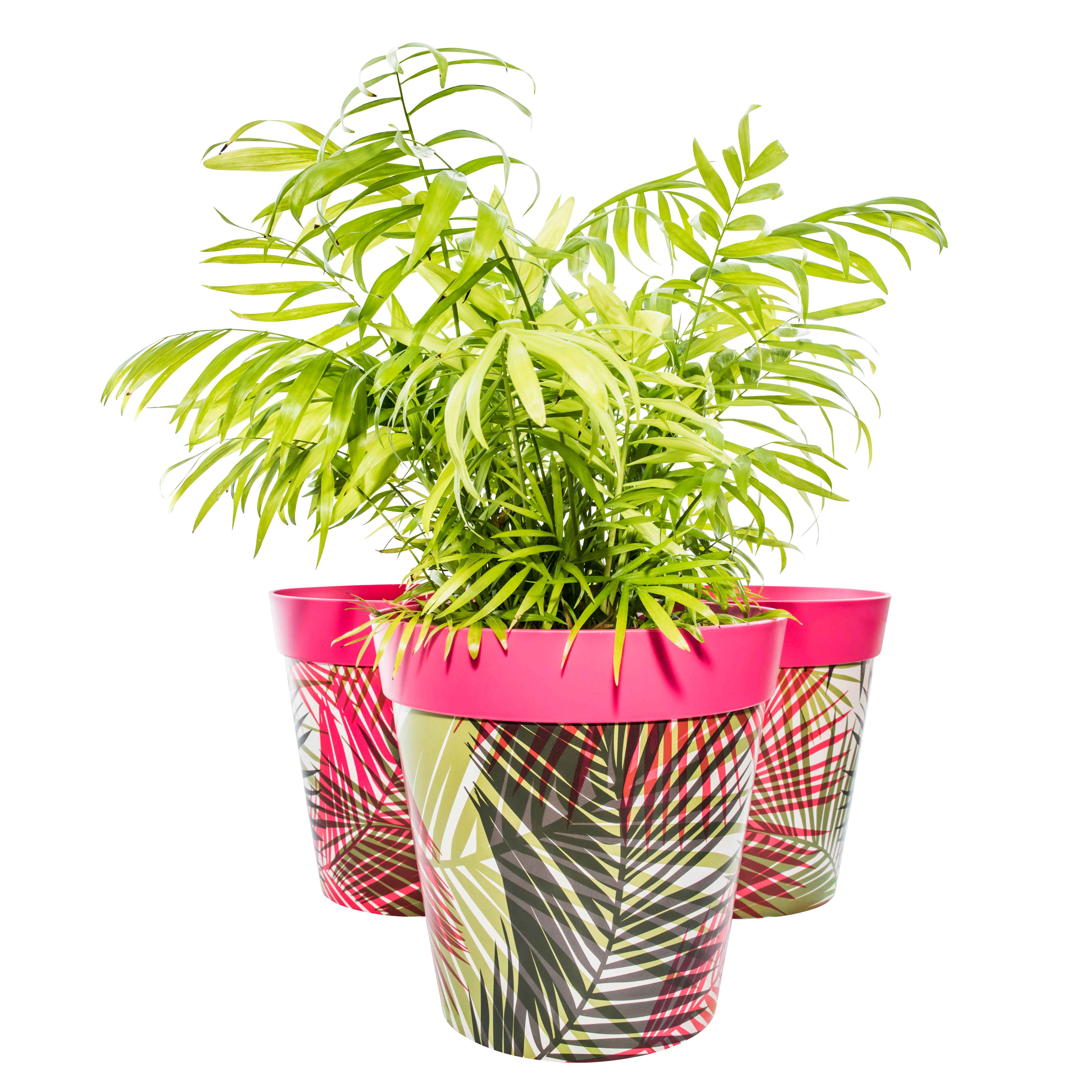 Picture of 3 Planted Large 25cm Plastic Pink Palm Leaves Pattern Indoor/Outdoor Flowerpots