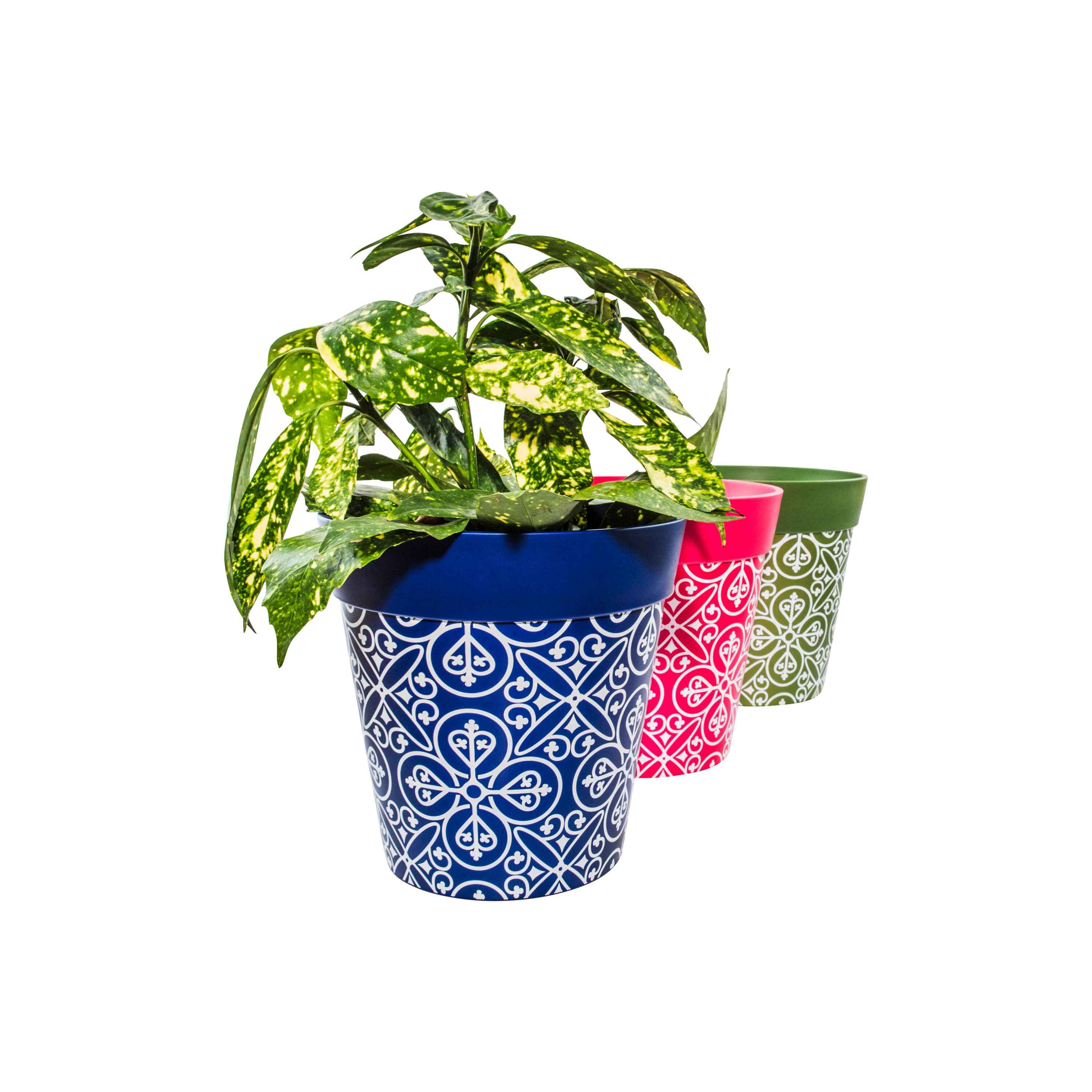 Picture of 3 Planted Medium 22cm Plastic Multi Colour Moroccan Style Pattern Indoor/Outdoor Flowerpots