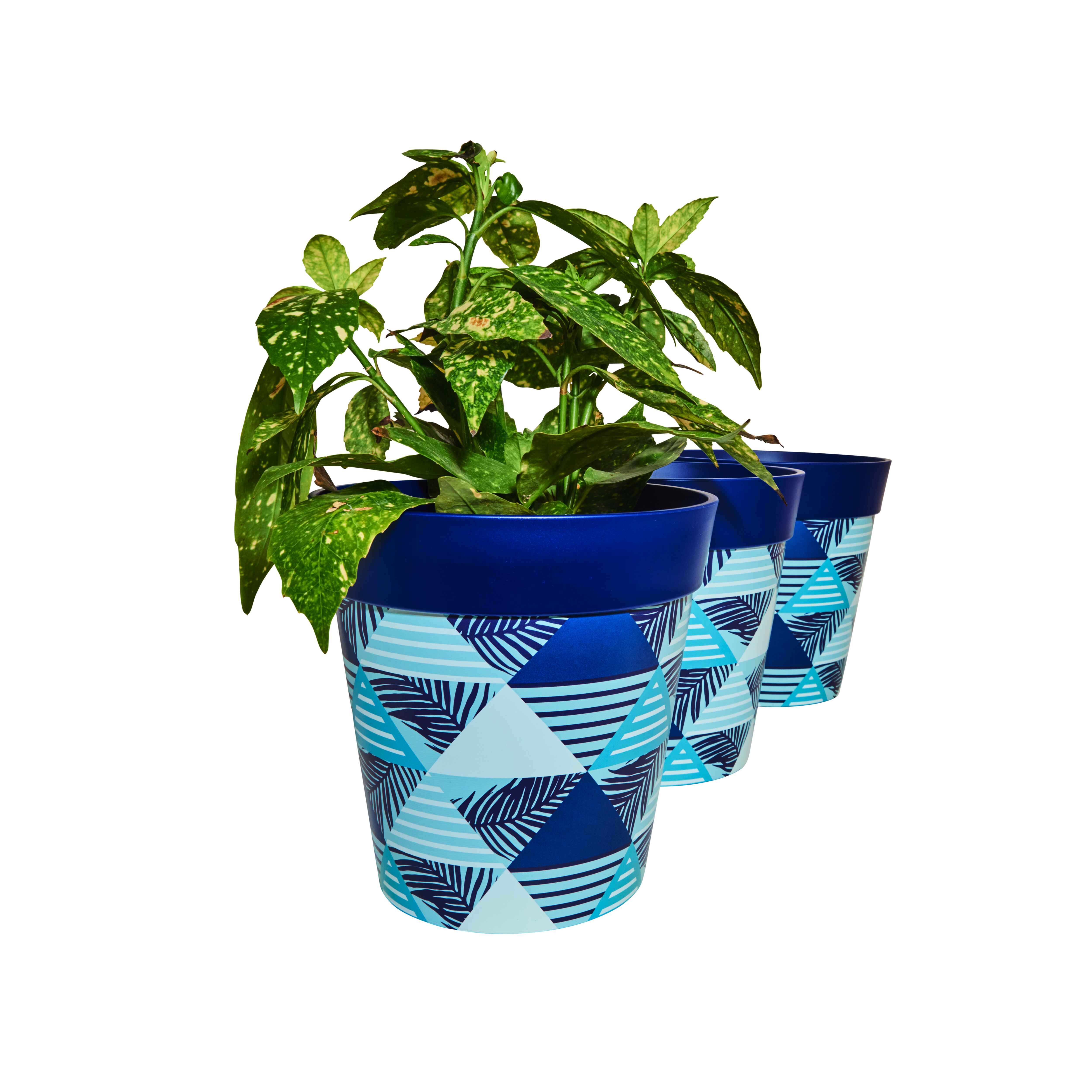 Picture of 3 Planted Medium 22cm Plastic Blue Geometric Pattern Indoor/Outdoor Flowerpots