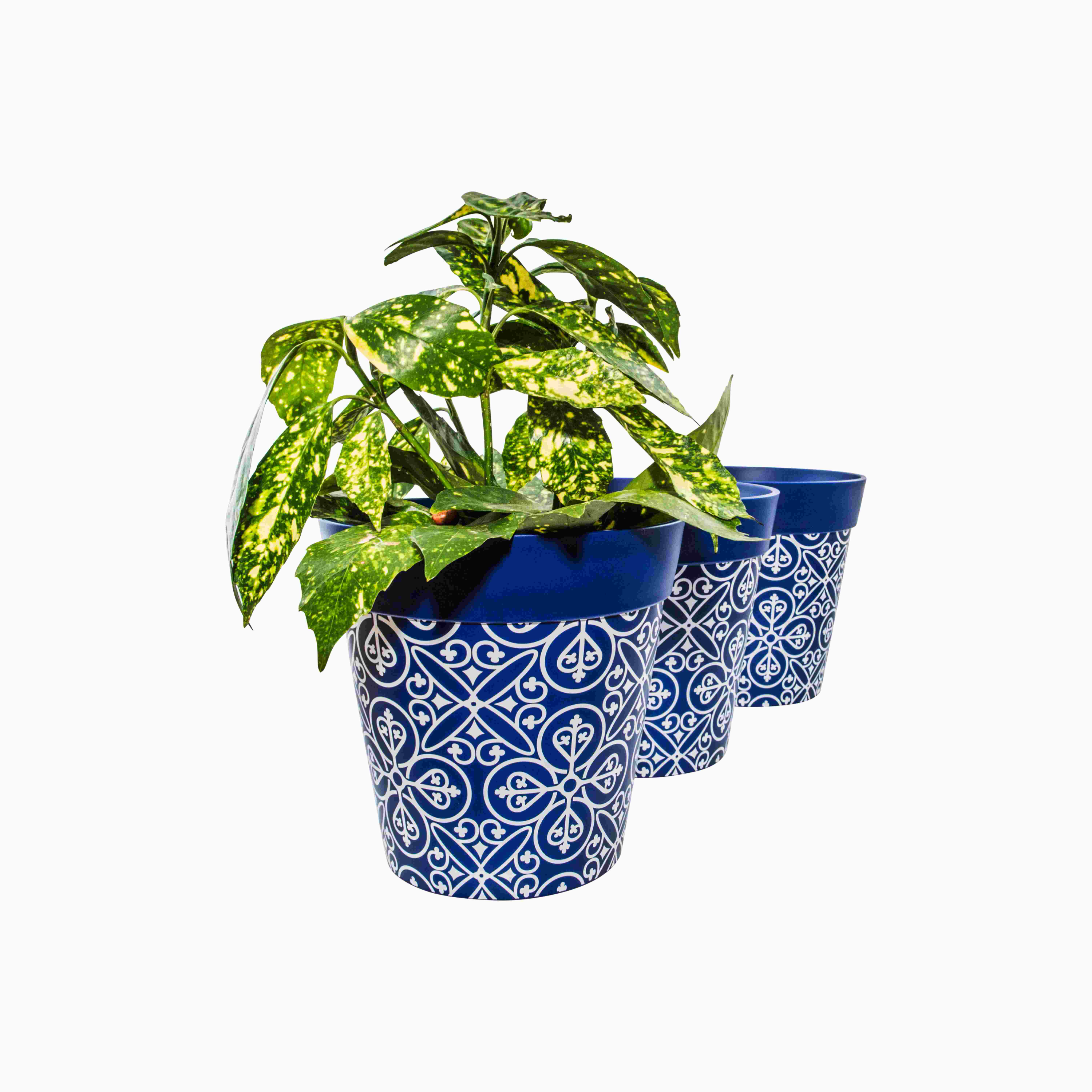 Picture of 3 Planted Medium 22cm Blue Moroccan Style Plastic Indoor/Outdoor Flowerpots