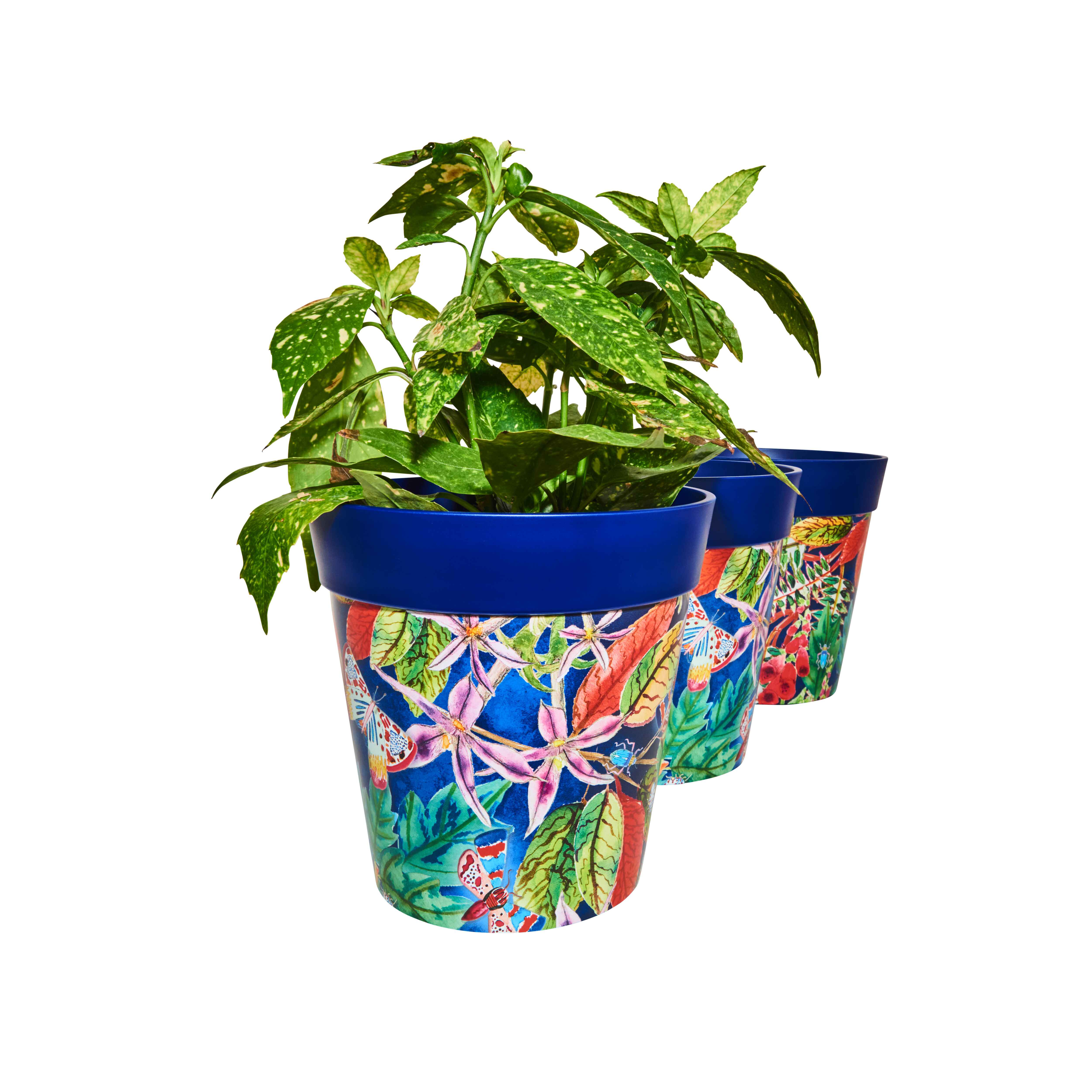 Picture of 3 Planted Medium 22cm Plastic Blue Leaves and Butterflies Pattern Indoor/Outdoor Flowerpots