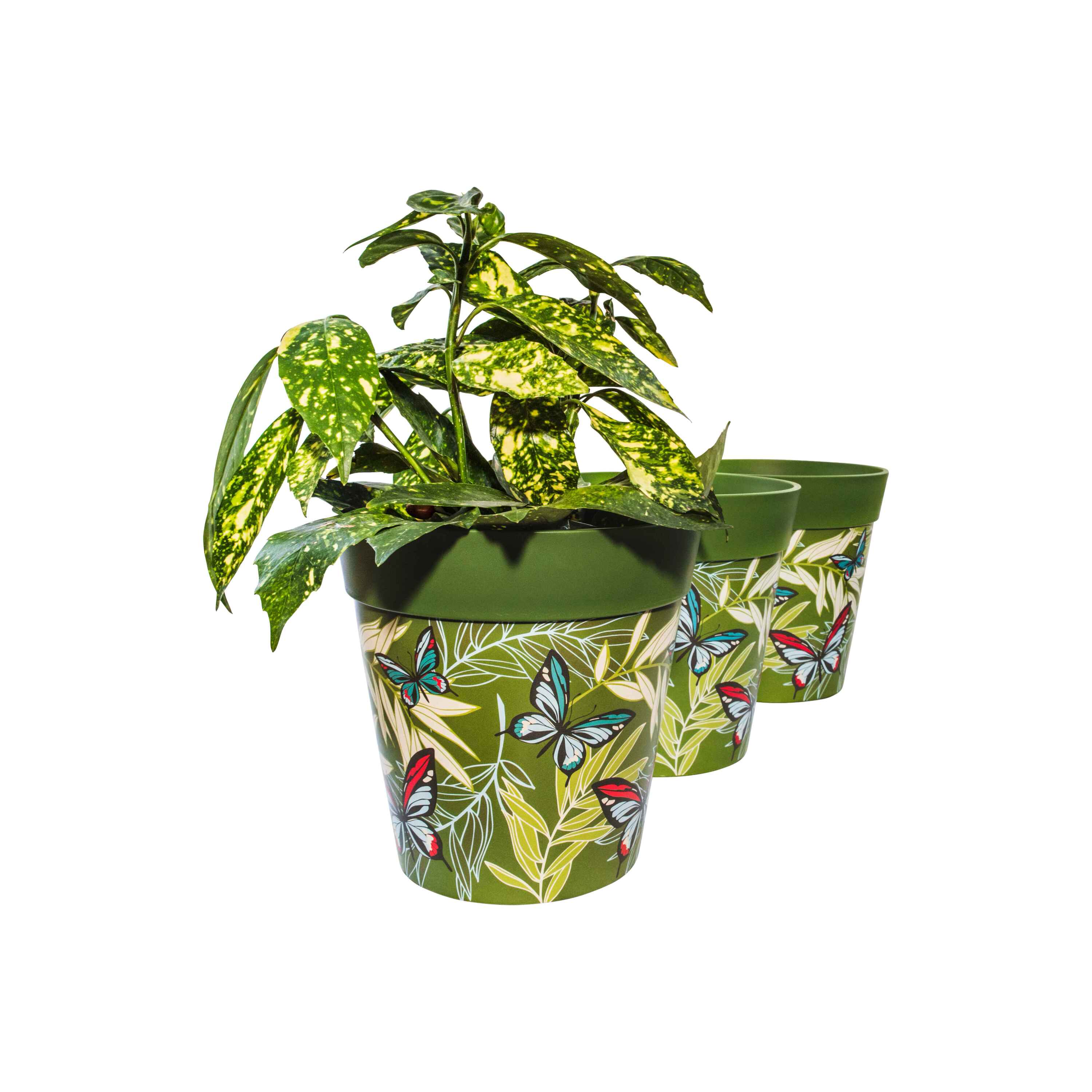 Picture of 3 Planted Medium 22cm Plastic Green Butterfly and Palm Leaves Indoor/Outdoor Flowerpots