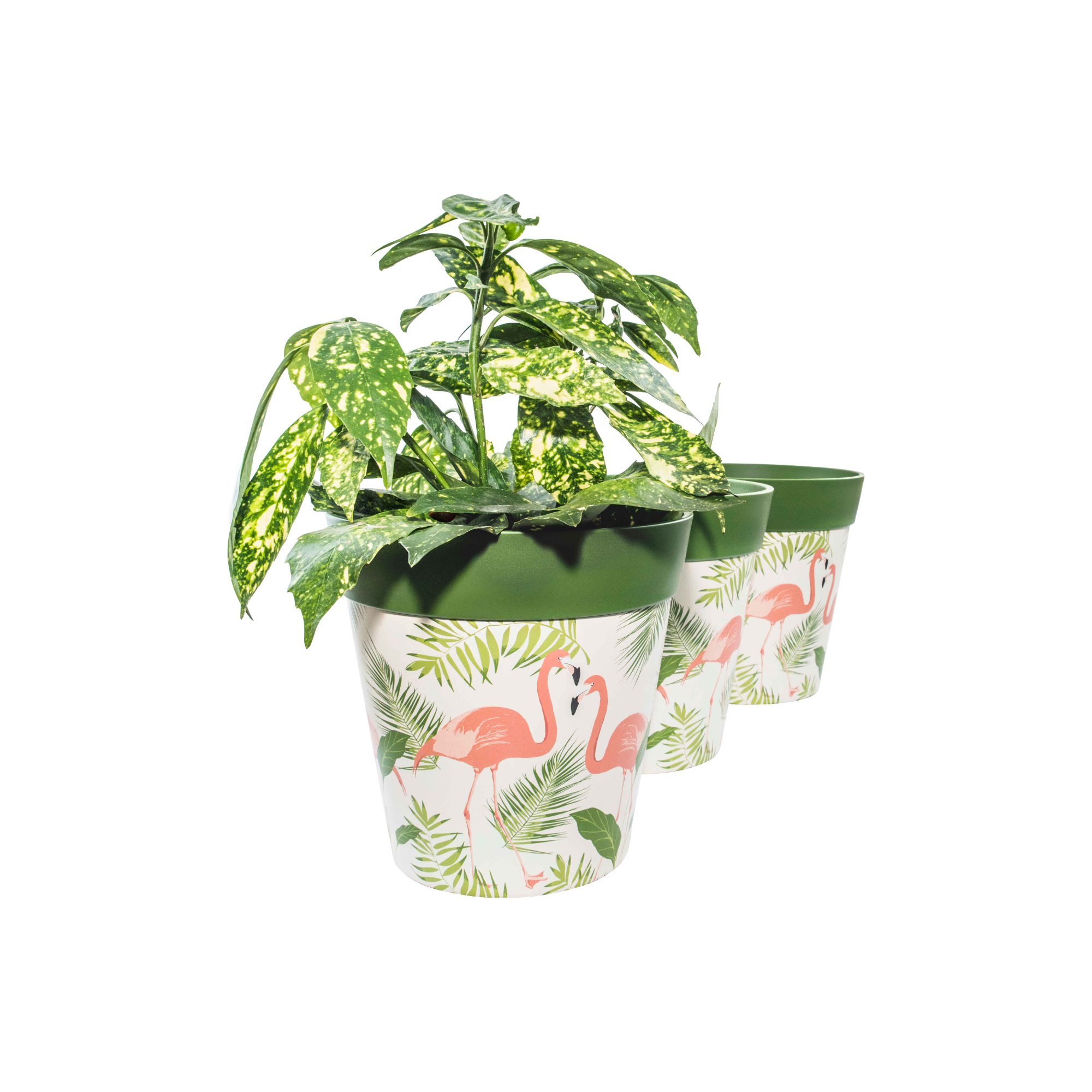 Picture of 3 Planted Medium 22cm Green Flamingo Pattern Plastic Indoor/Outdoor Flowerpots
