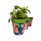 Picture of 3 Planted Medium 22cm Plastic Green Tropical Pattern Indoor/Outdoor Flowerpots
