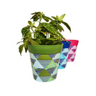 Picture of 3 Planted Medium 22cm Plastic Multi Colour Geometric Pattern Indoor/Outdoor Flowerpots