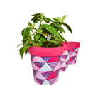 Picture of 3 Planted Medium 22cm Plastic Pink Geometric Pattern Indoor/Outdoor Flowerpots