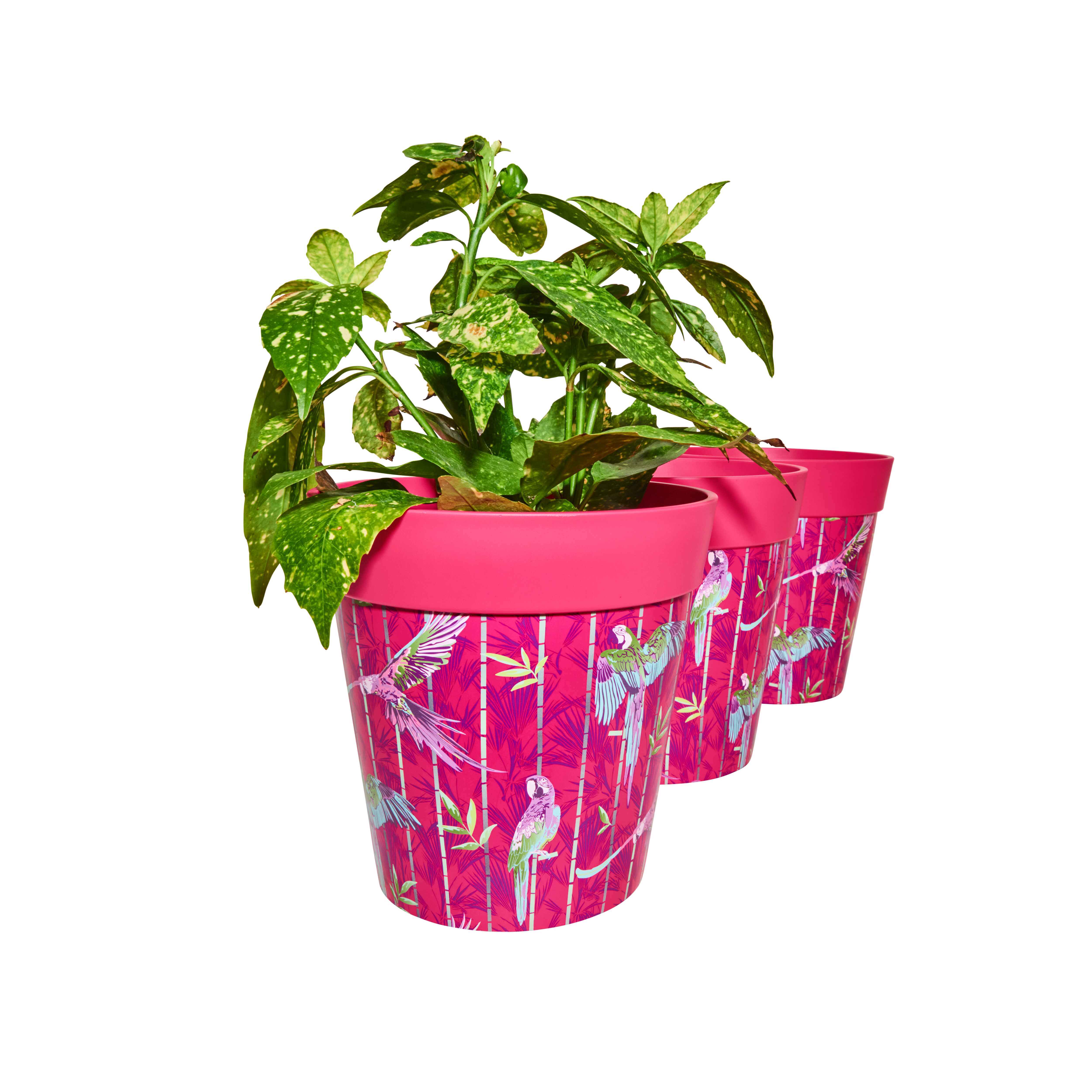 Picture of 3 Planted Medium 22cm Plastic Pink Parrots Pattern Indoor/Outdoor Flowerpots