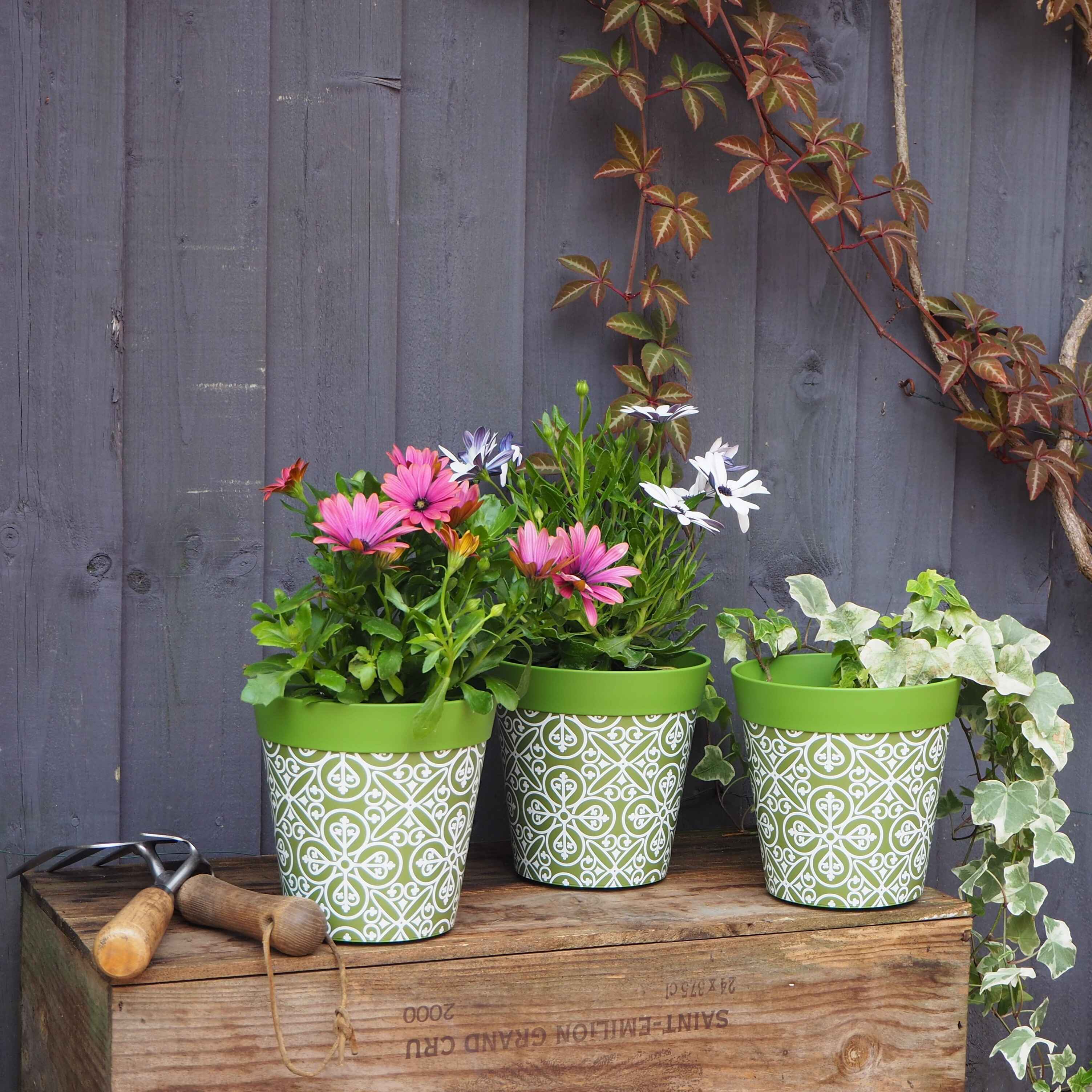 green planters with flowers in a garden against a grey fence