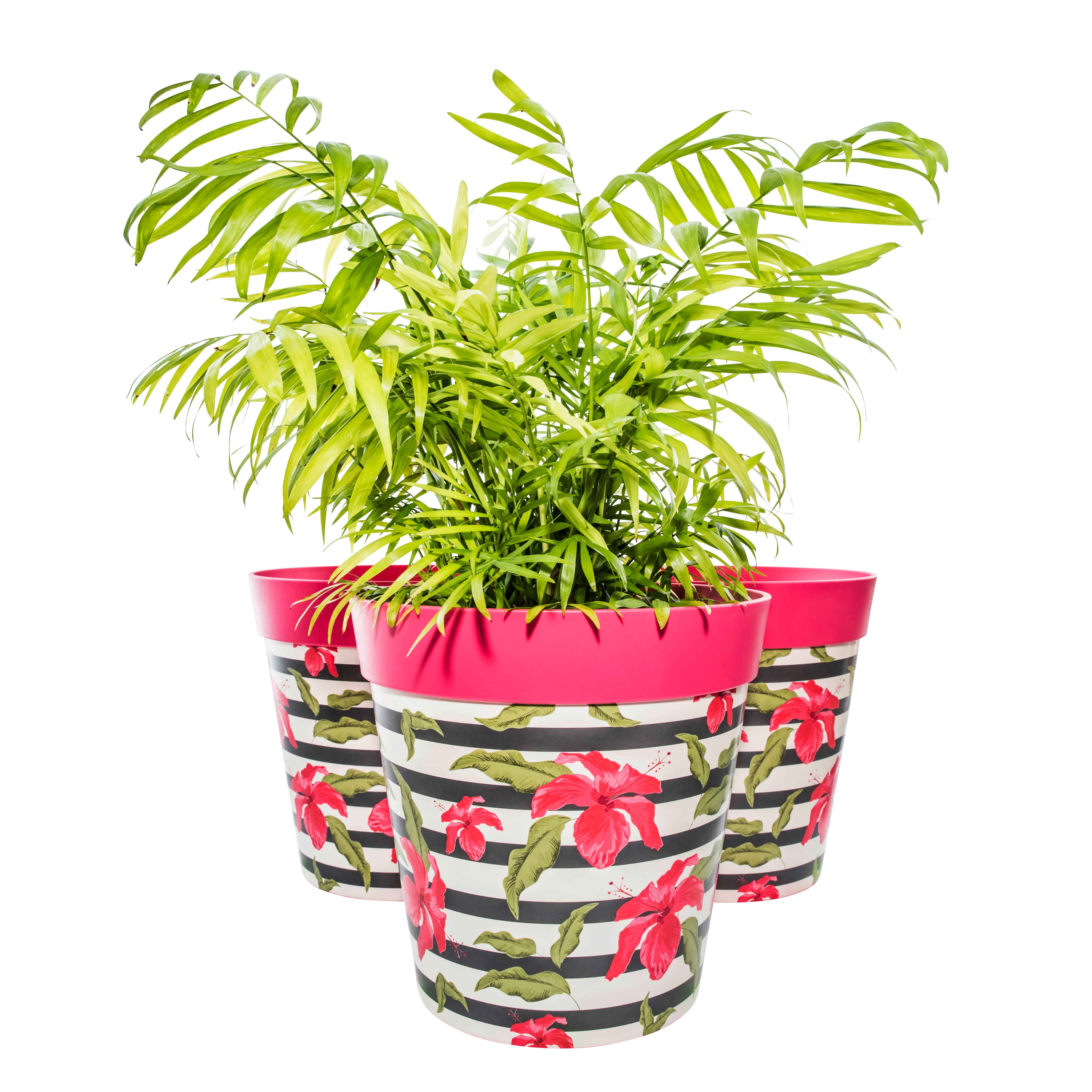 Picture of 3 Planted Large 25cm Plastic Hibiscus Stripe Pattern Indoor/Outdoor Flowerpots