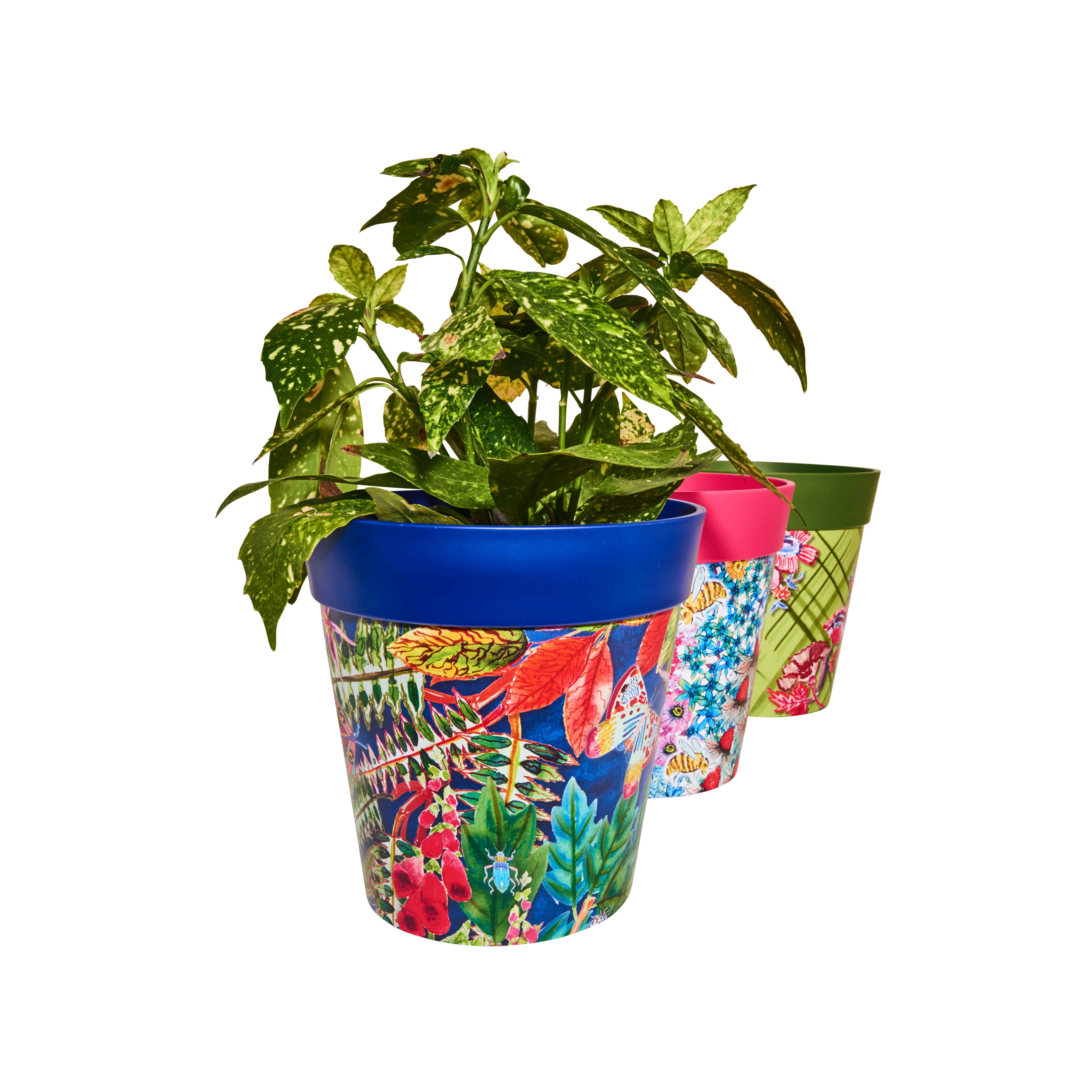 Picture of 3 Planted Medium 22cm Plastic Multi Colour Floral Pattern Indoor/Outdoor Flowerpots