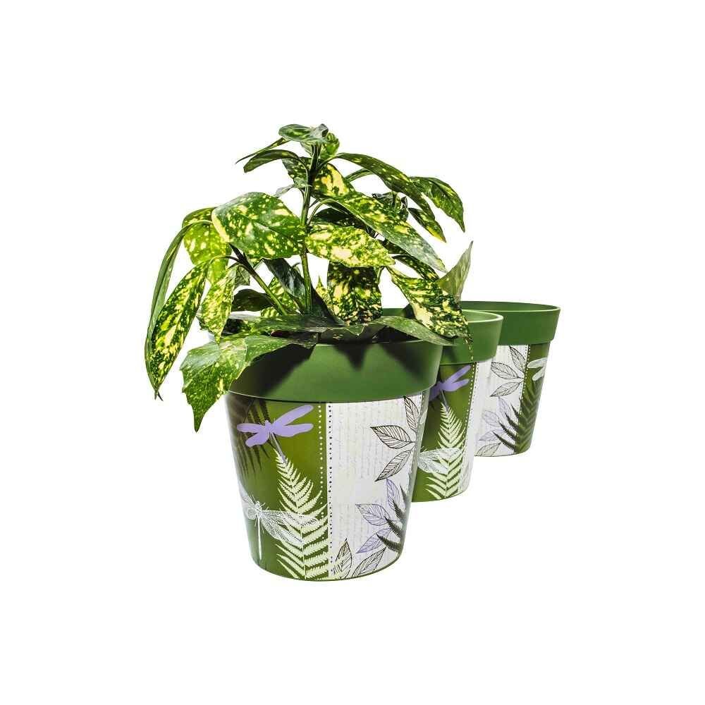 Picture of 3 Planted Medium 22cm Plastic Green Dragonflies Pattern Indoor/Outdoor Flowerpots