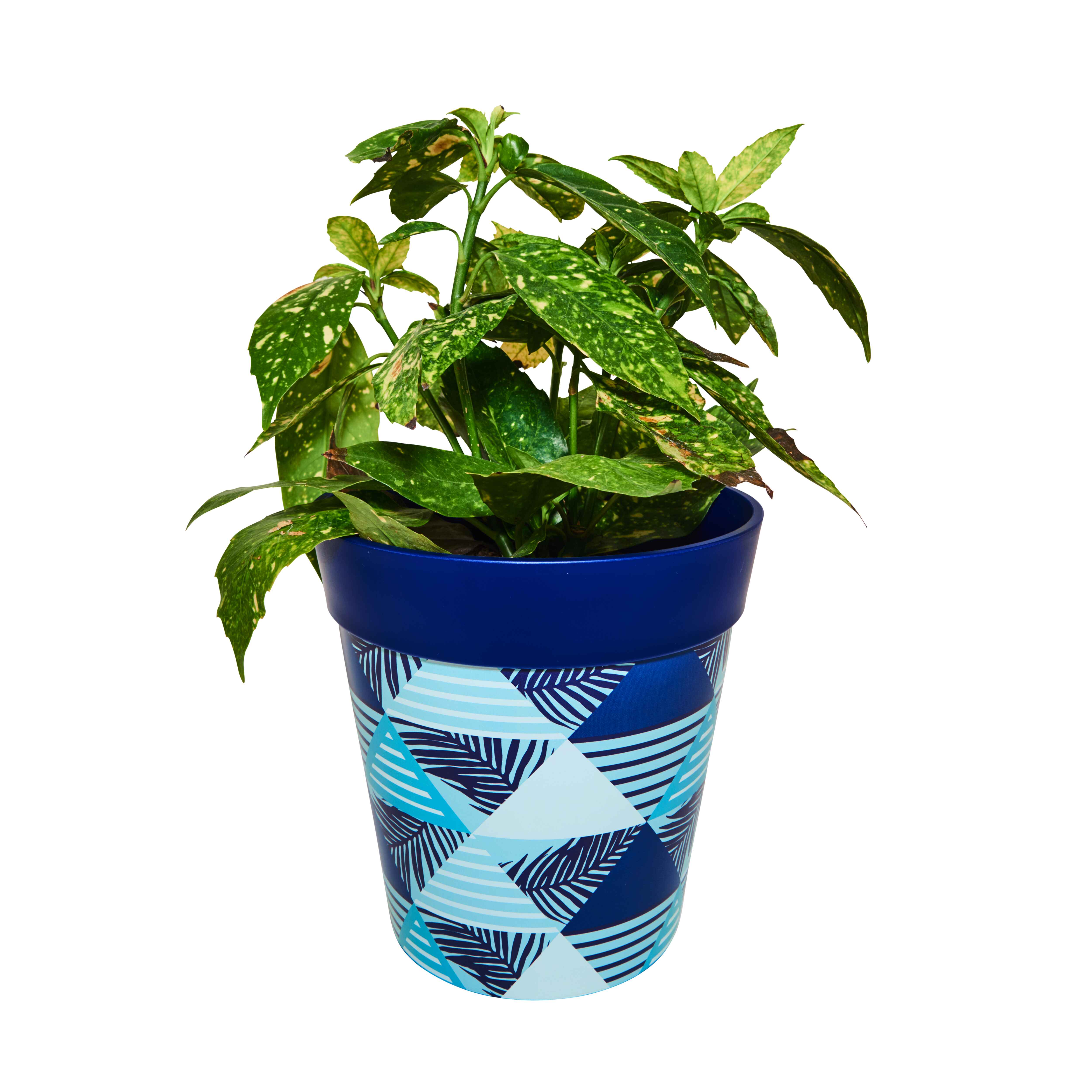 Picture of Medium 22cm Planted Blue Geometric Pattern Plastic Indoor/Outdoor Flowerpot