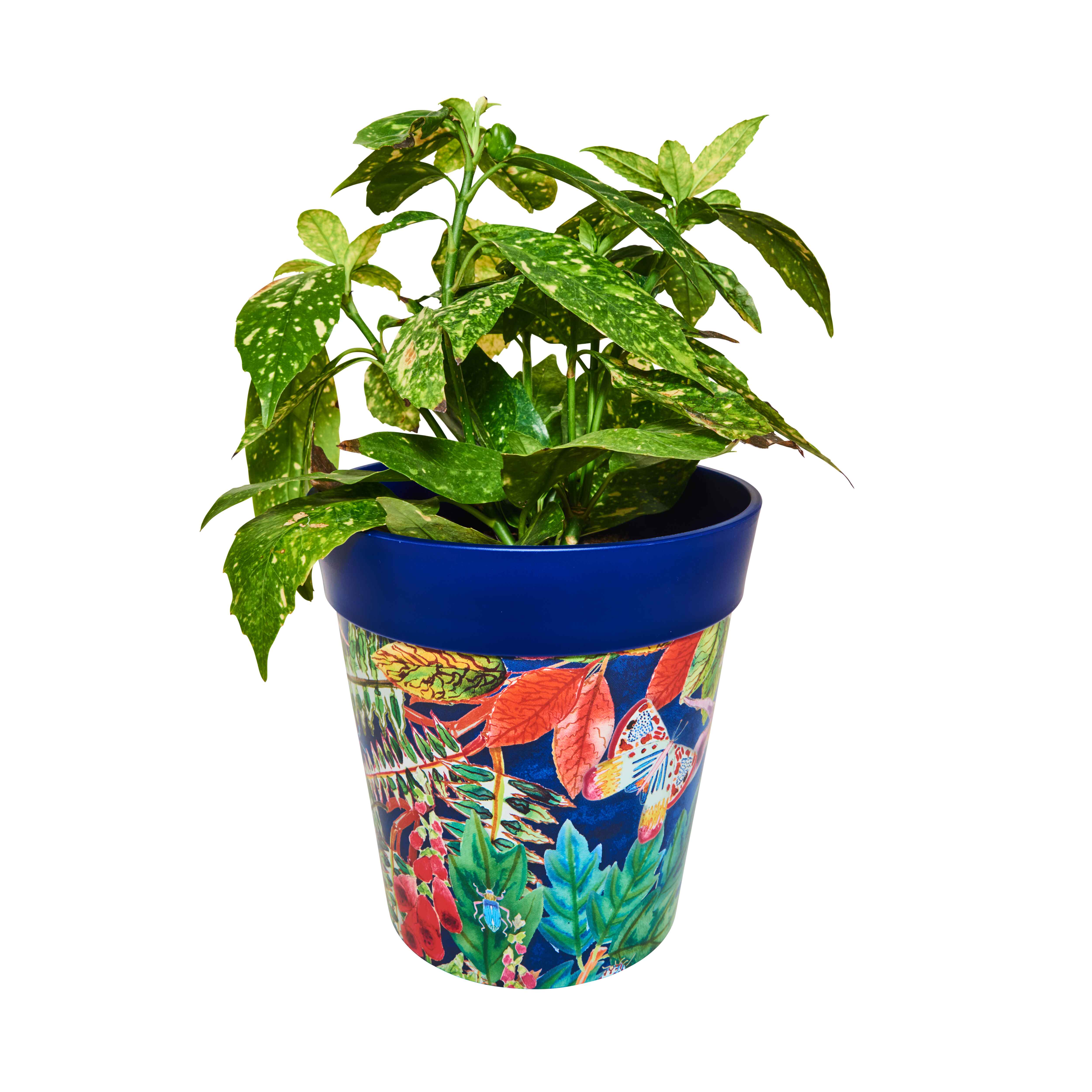 Picture of Medium 22cm Planted Blue Leaves and Butterflies Pattern Plastic Indoor/Outdoor Flowerpot