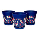 Picture of 3 Medium 22cm Blue Bird Plastic Indoor/Outdoor Flowerpot and Saucers