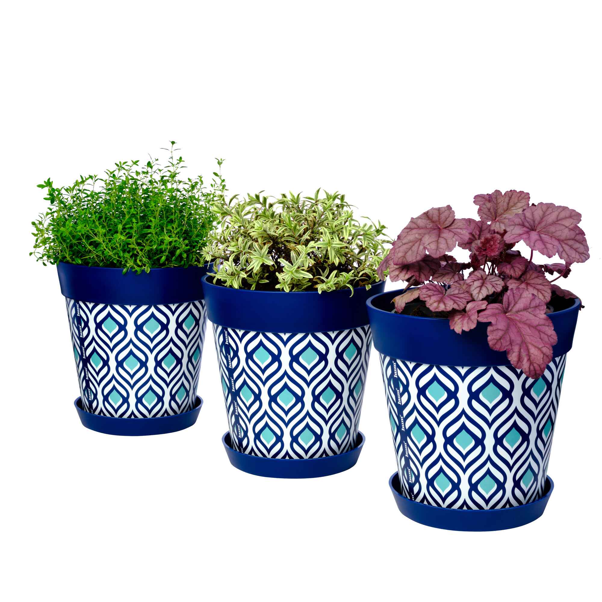 Picture of 3 Planted Medium 22cm Blue Peacock Pattern Plastic Indoor/Outdoor Flowerpot and Saucers