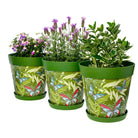 Picture of 3 Planted Large 25cm Green Butterflies and Palm Leaves Pattern Indoor/Outdoor Flower Pot and Saucers 