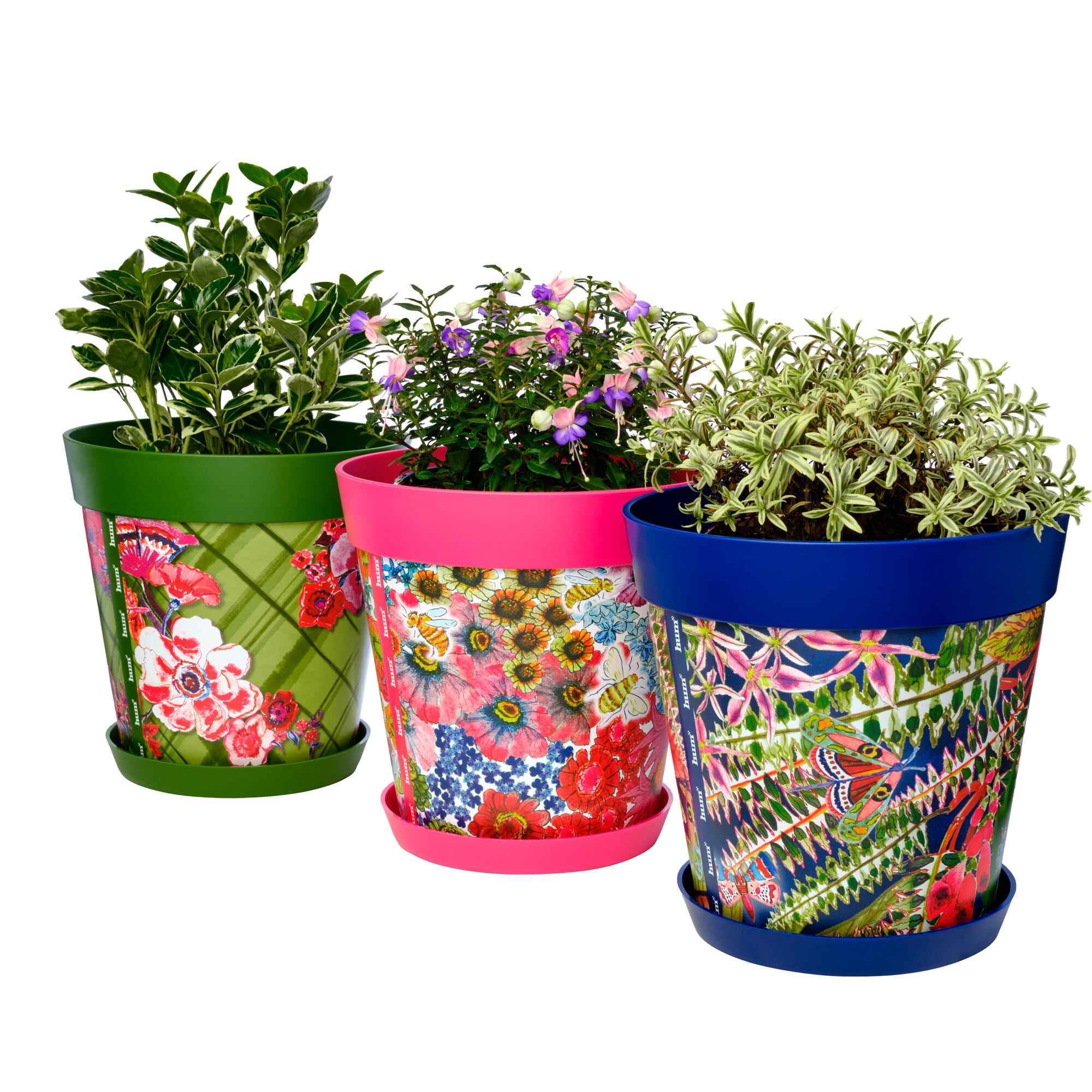 Picture of 3 Planted Plastic Multi Colour Floral Pattern Flowerpots with Saucers 