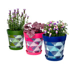 Picture of 3 Medium 22cm Planted Plastic Multi Geometric Pattern Indoor/Outdoor Flowerpots with Saucers 