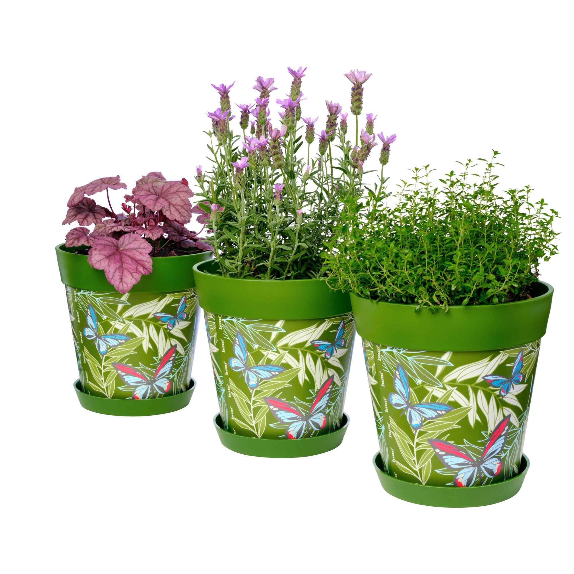 Picture of 3 Planted Medium 22cm Green Butterflies and Palm Leaves Pattern Indoor/Outdoor Flower Pot and Saucers 