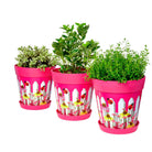 Picture of 3 Planted Medium 22cm Plastic Pink Fence and Flowers Pattern Indoor/Outdoor Flowerpots with Saucers