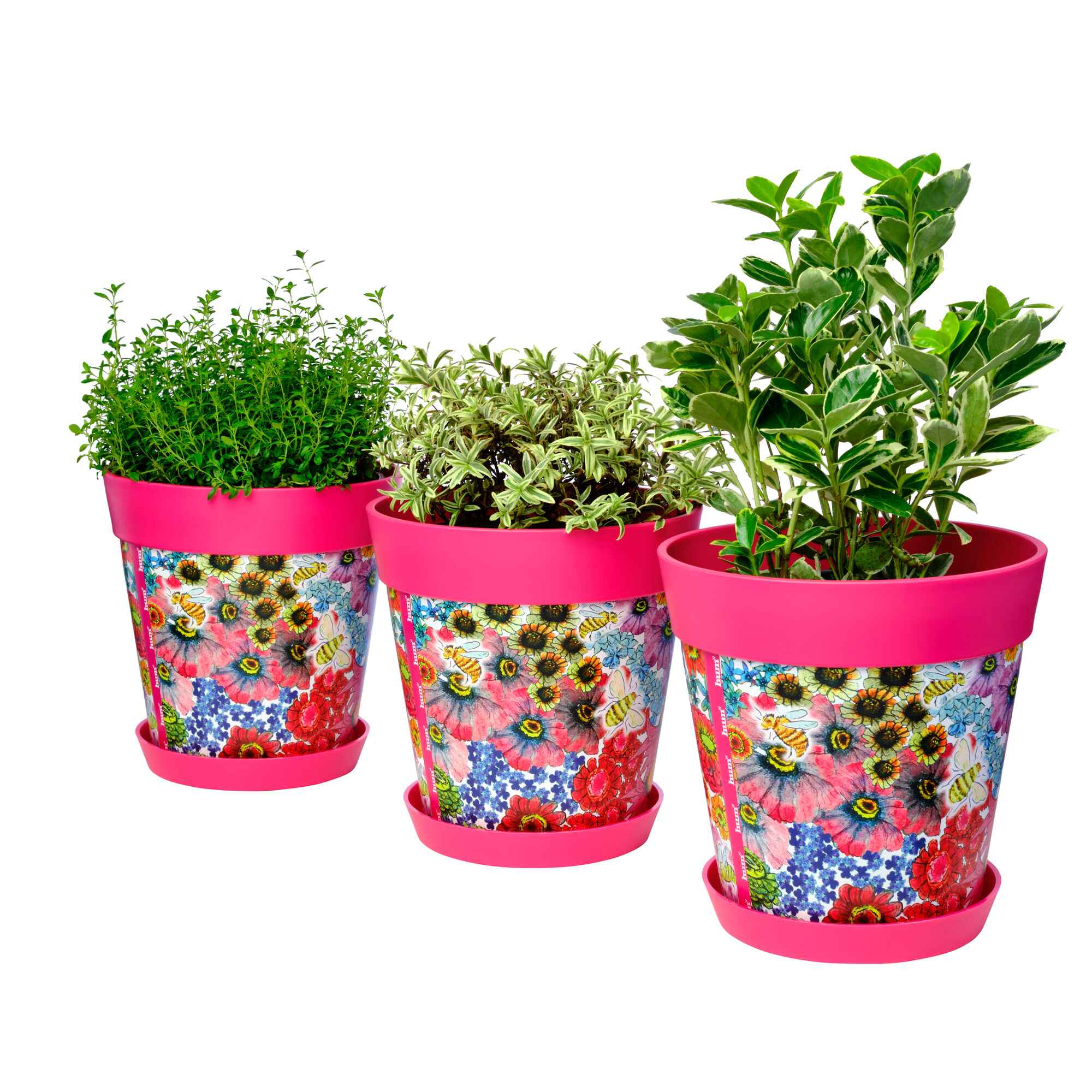 Picture of 3 Medium 22cm Planted Plastic Pink Flowers and Bees Pattern Indoor/Outdoor Flowerpots with Saucers 