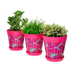 Picture of 3 Planted  Medium 22cm Plastic Pink Parrots Pattern Indoor/Outdoor Flowerpots with Saucers