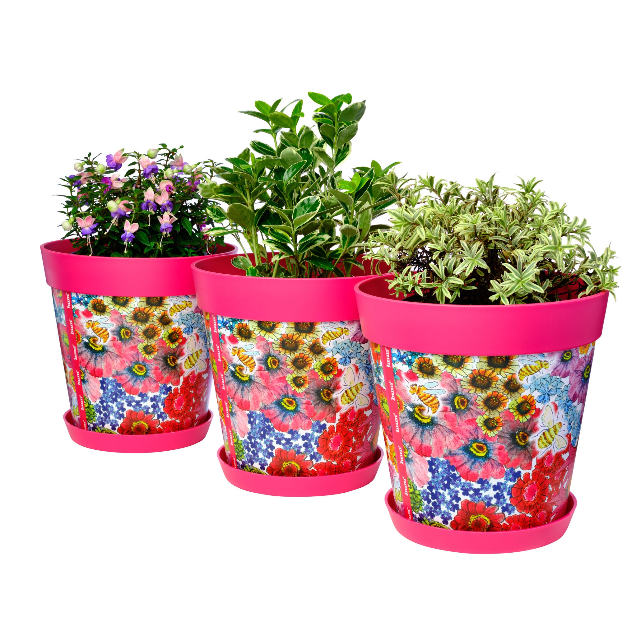 Picture of 3 Large 25cm Plastic Pink Flowers and Bees Pattern Indoor/Outdoor Flowerpots with Saucers 