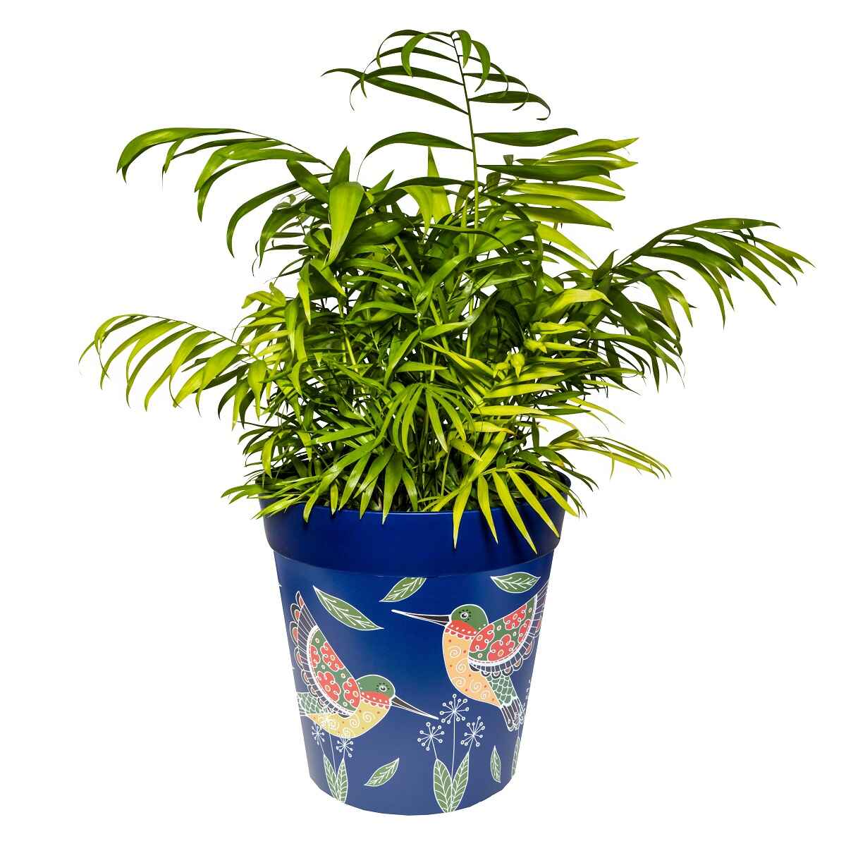 Picture of Large 25cm Planted Blue Hummingbird Pattern Plastic Indoor/Outdoor Flowerpot 