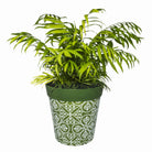 Picture of Planted Large 25cm Green Moroccan Style Pattern Plastic Indoor/Outdoor Flowerpot 