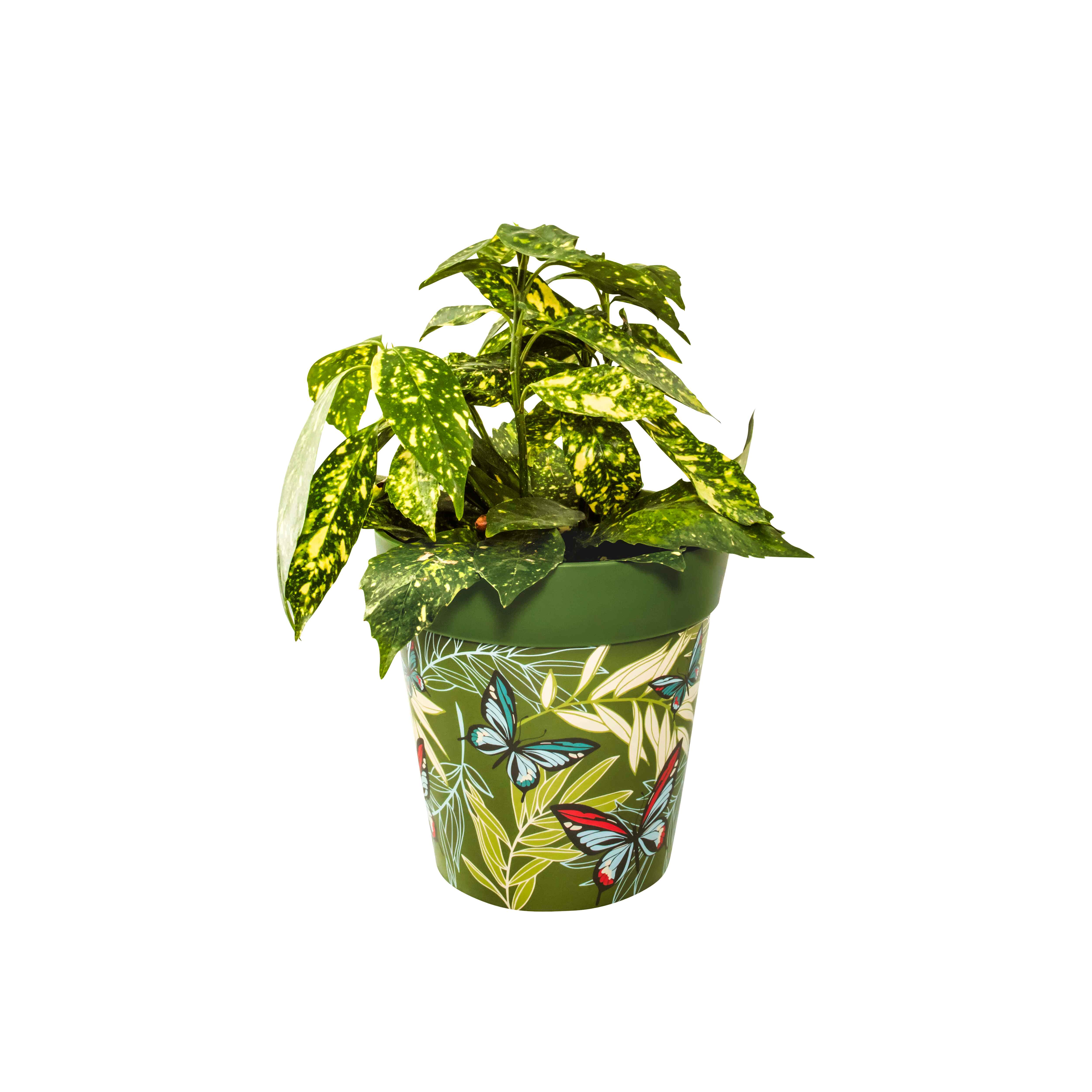 Picture of Planted Medium 22cm Green Butterfly and Palm Leaves  Pattern Plastic Indoor/Outdoor Flowerpot 