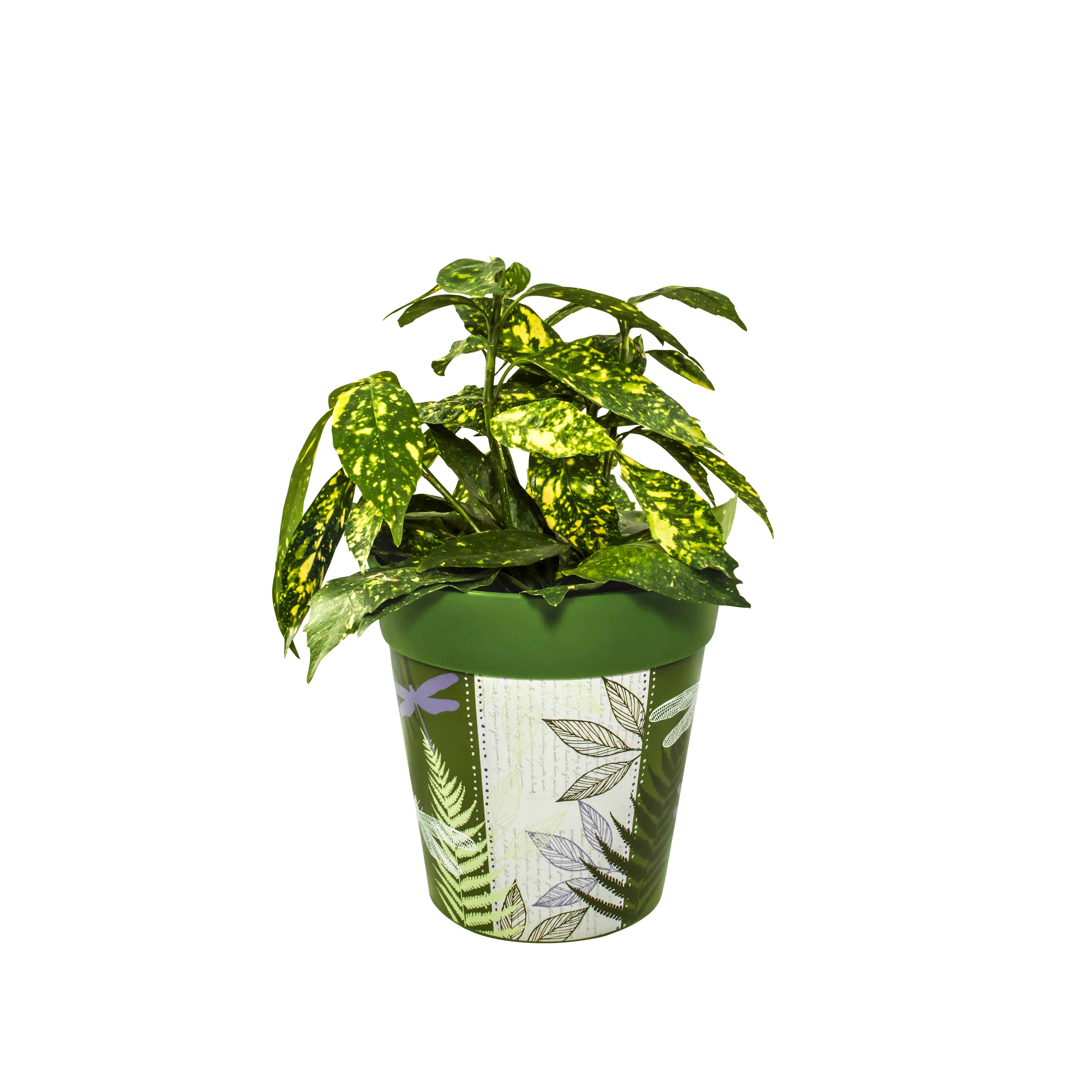 Picture of Planted Medium 22cm Green Dragonflies Pattern Plastic Indoor/Outdoor Flowerpot 
