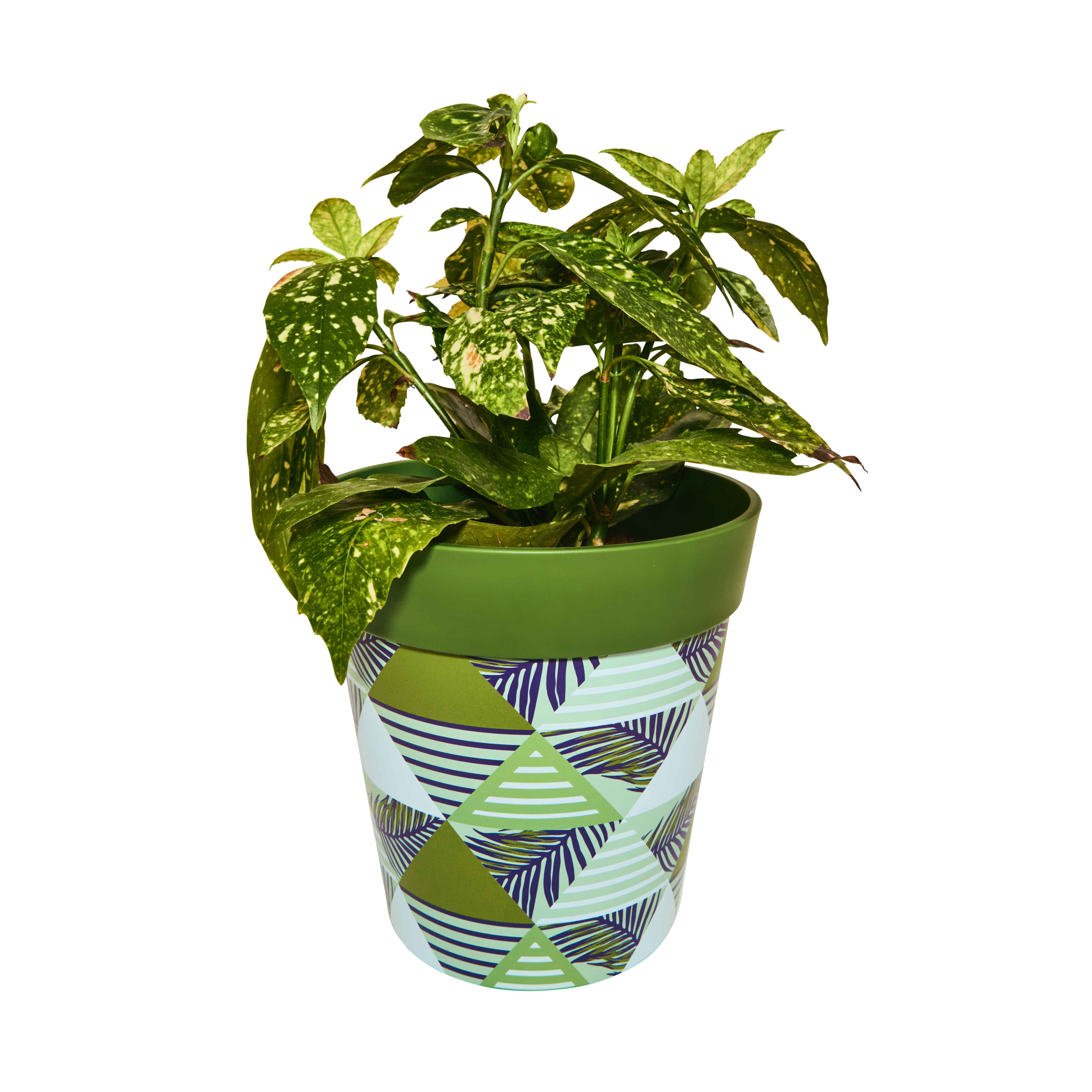 Picture of Planted Medium 22cm Green Geometric Pattern Plastic Indoor/Outdoor Flowerpot 