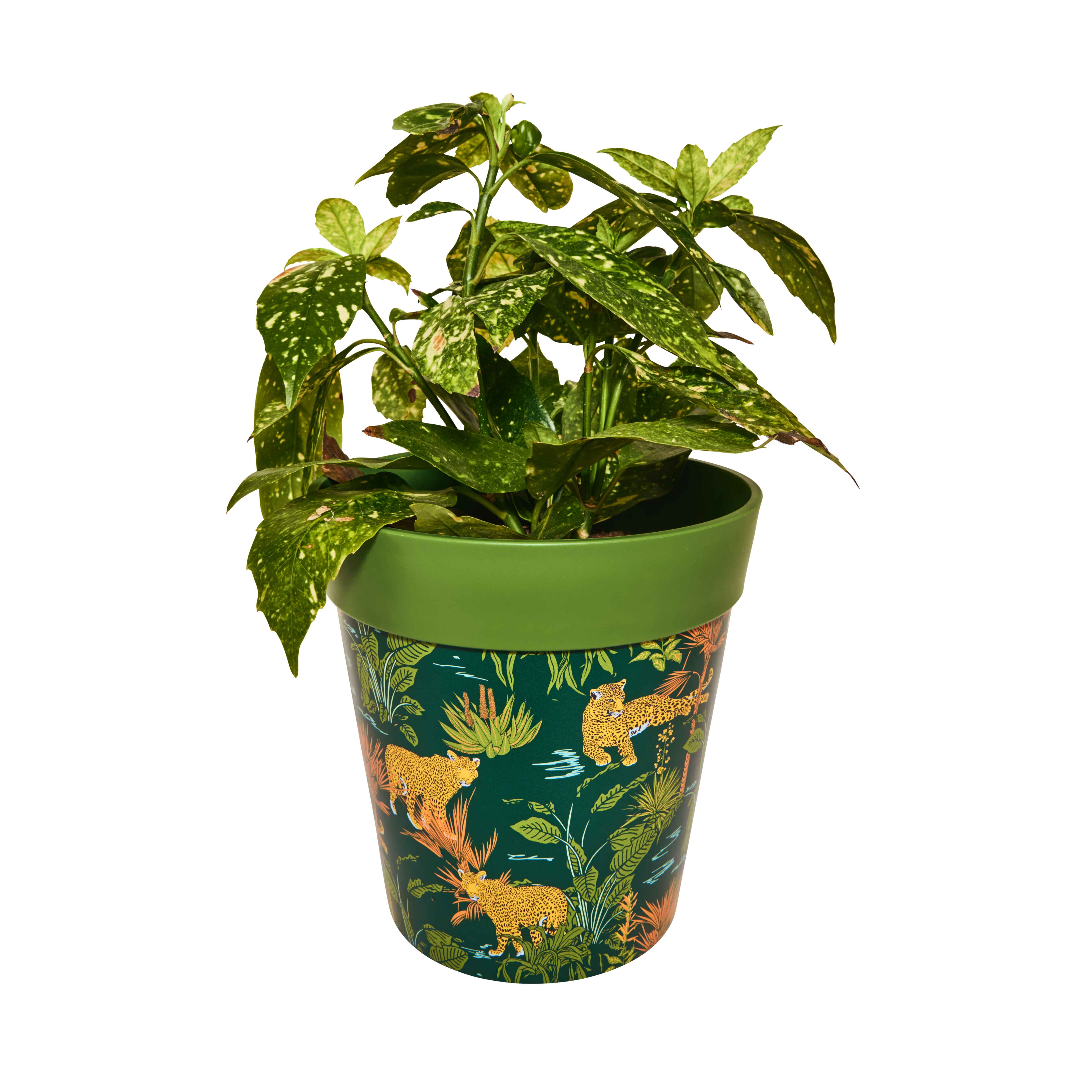 Picture of Planted Medium 22cm Green Jungle & Leopard Pattern Plastic Indoor/Outdoor Flowerpot 