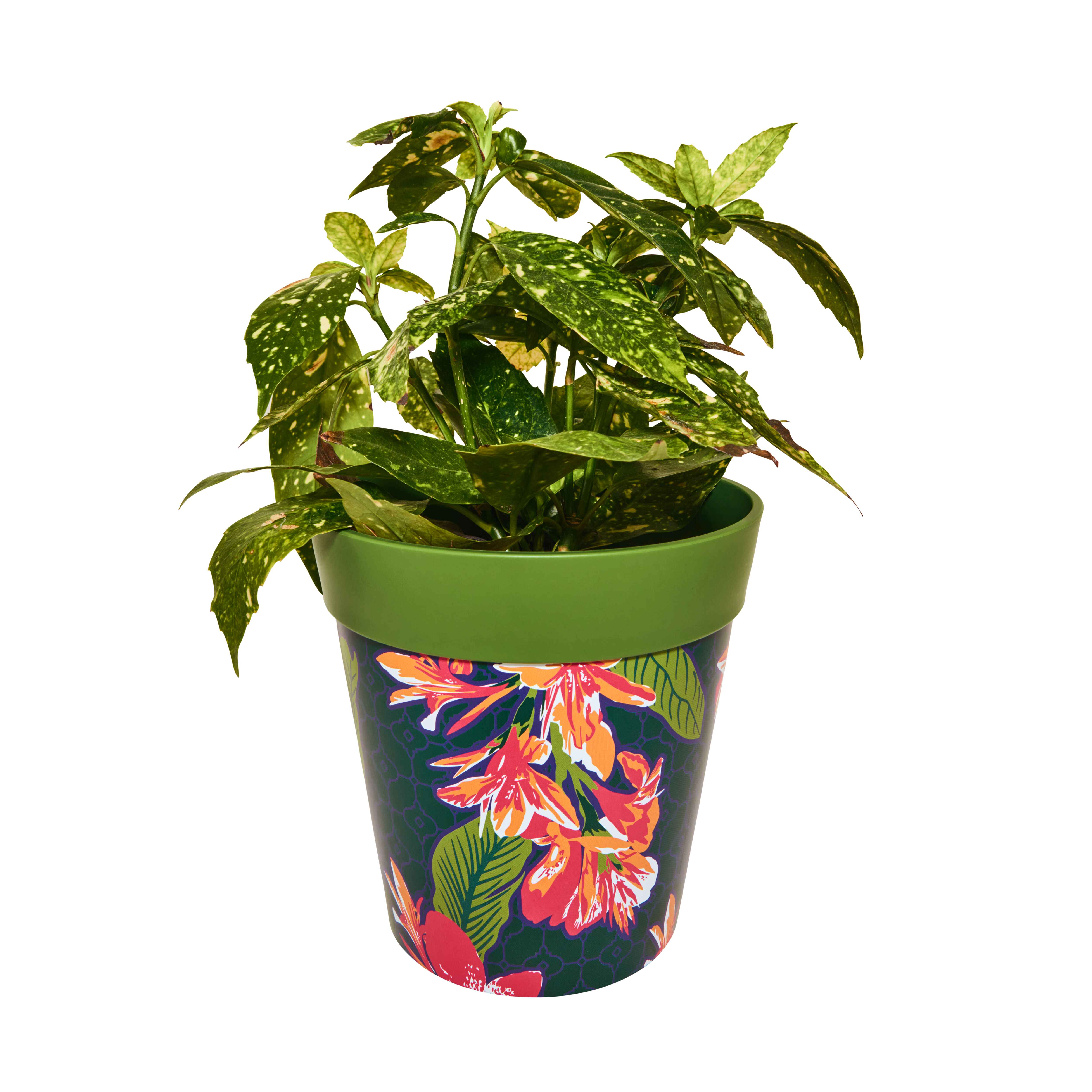 Picture of Planted Medium 22cm Green Tropical Flowers Pattern Plastic Indoor/Outdoor Flowerpot 