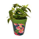 Picture of Planted Medium 22cm Green Tropical Flowers Pattern Plastic Indoor/Outdoor Flowerpot 