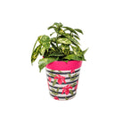 Picture of Medium 22cm Plastic Plastic Pink Hibiscus Stripe Pattern Indoor/Outdoor Flower Pots 