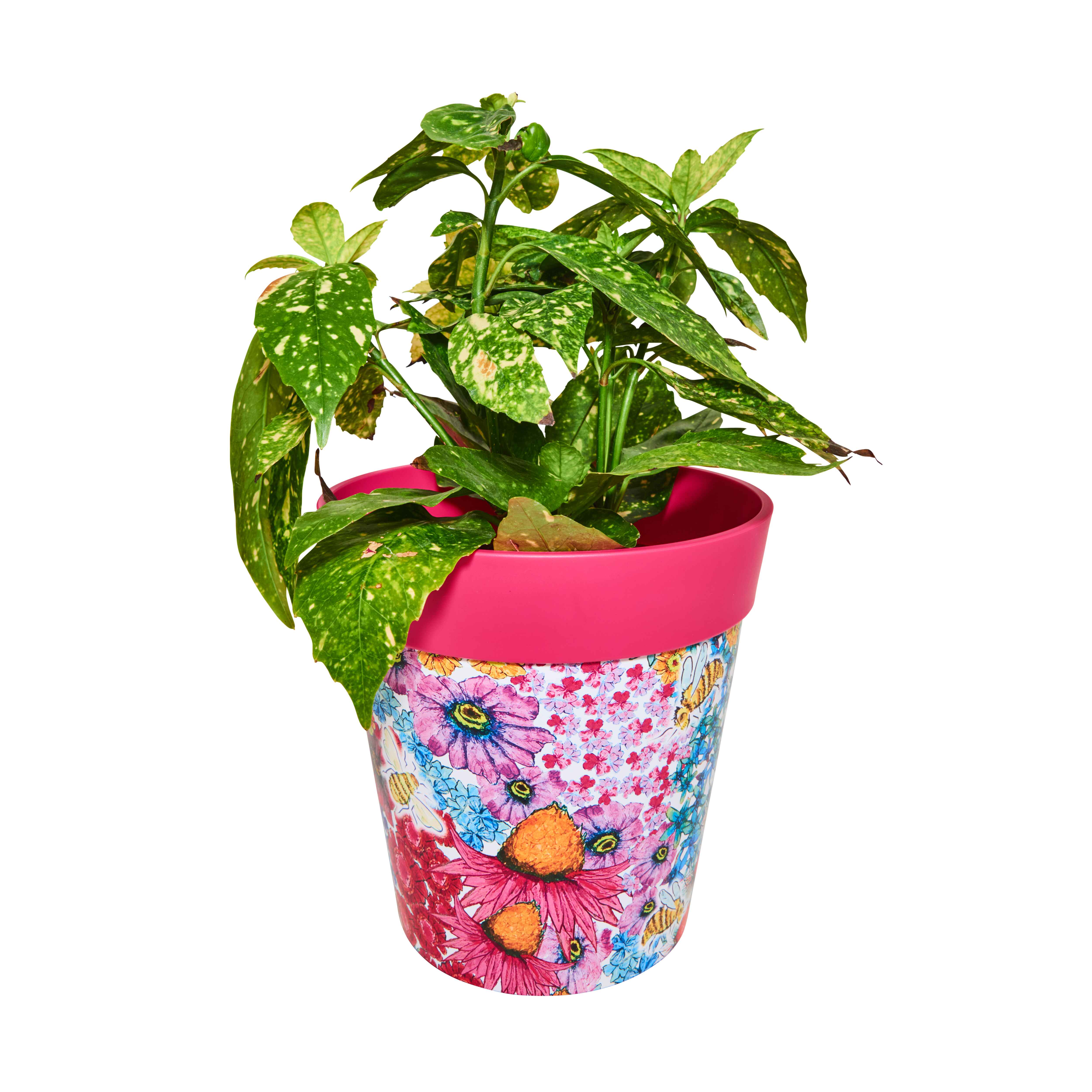 Picture of Medium 22cm Planted Plastic Pink Flowers and Bees Pattern Indoor/Outdoor Flower Pots 
