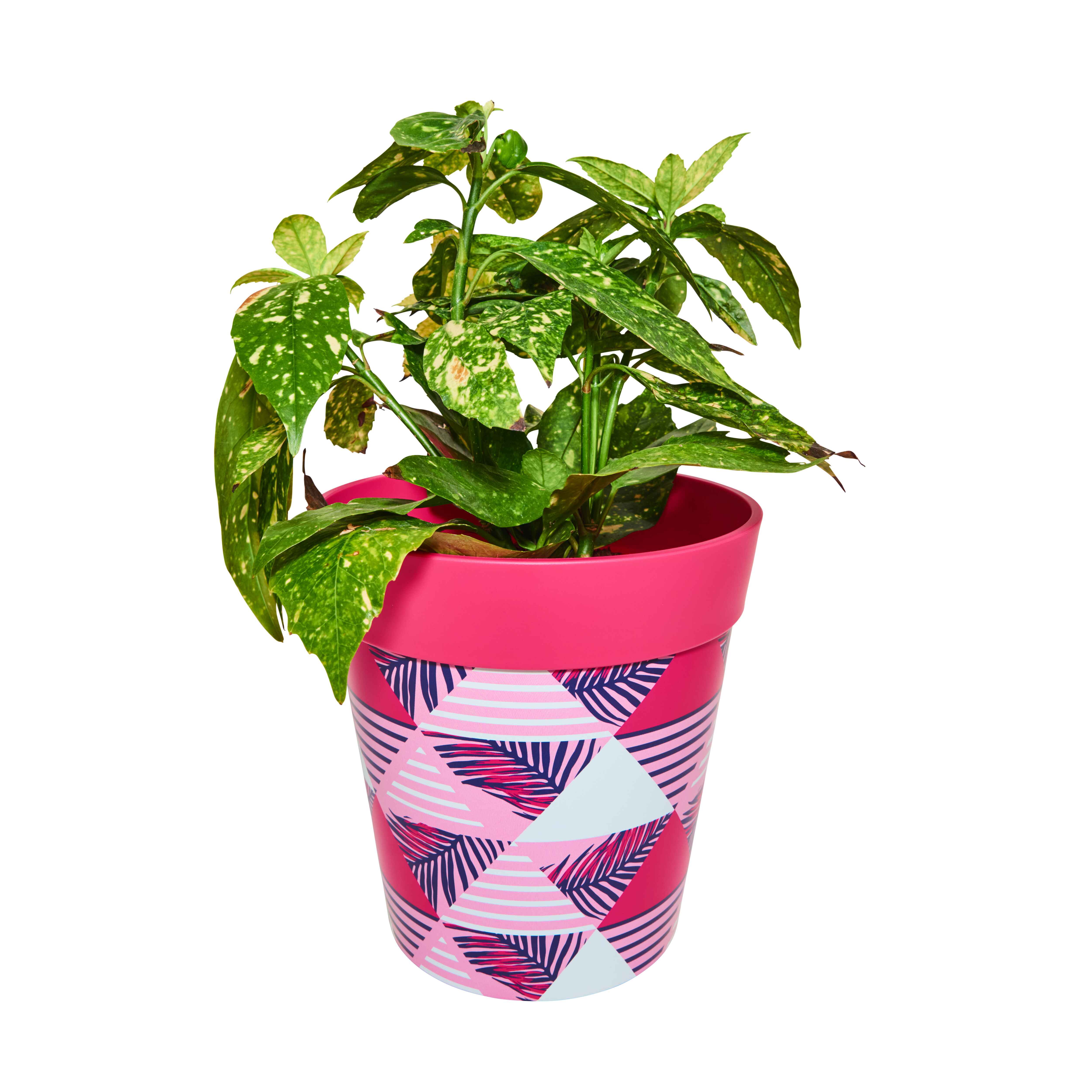 Picture of Medium 22cm Planted Plastic Pink Geometric Indoor/Outdoor Flower Pots 