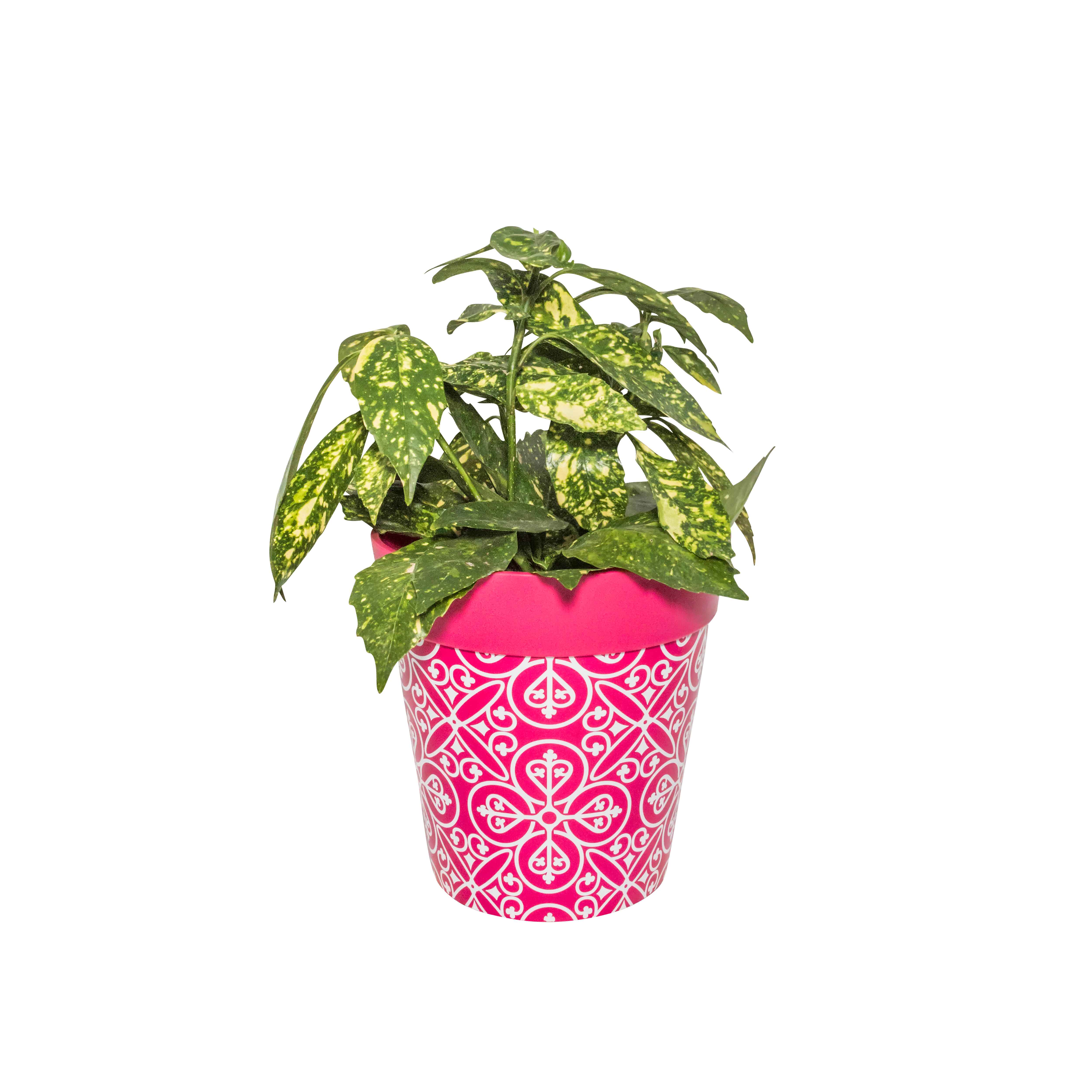 Picture of Large 25cm Planted Plastic Pink Moroccan Pattern Indoor/Outdoor Flower Pots 